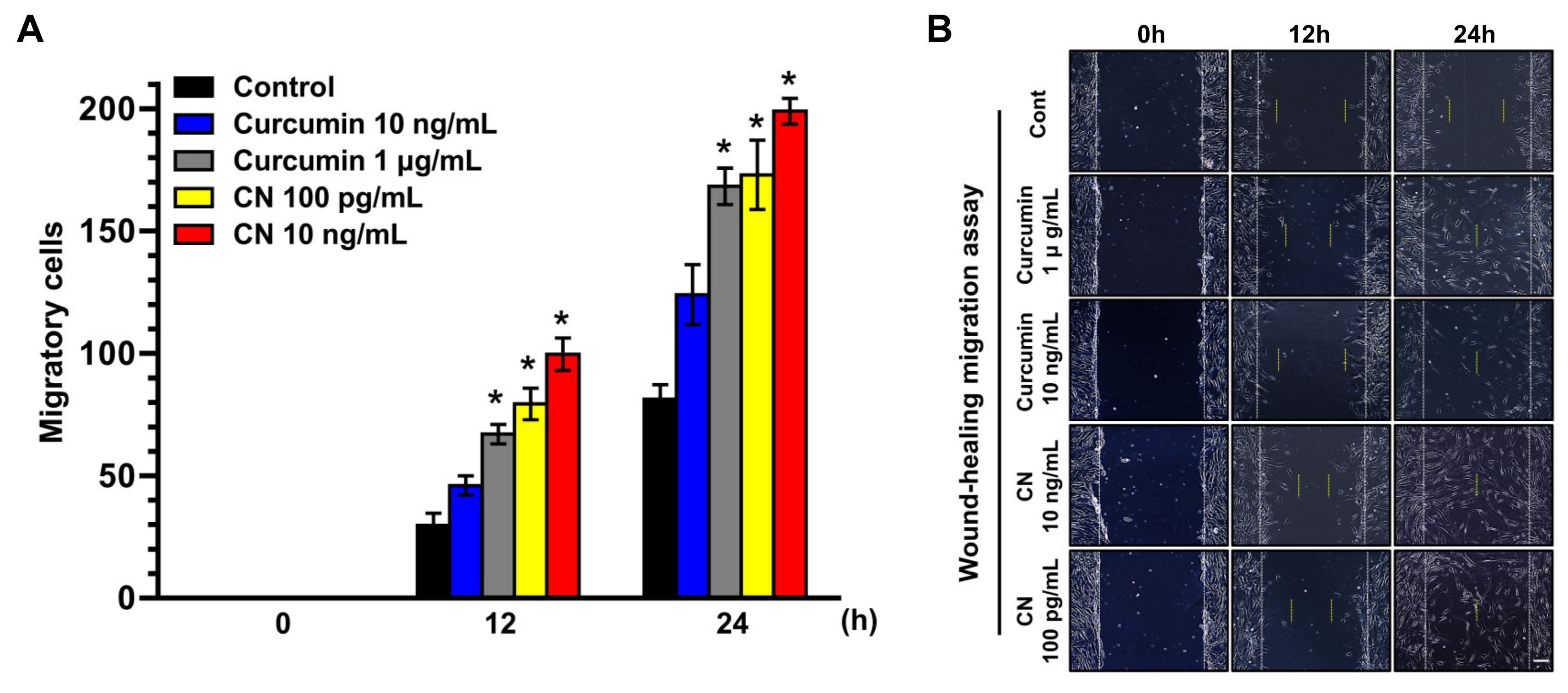 Cells 09 01467 g002a Cells 09 01467 g002a