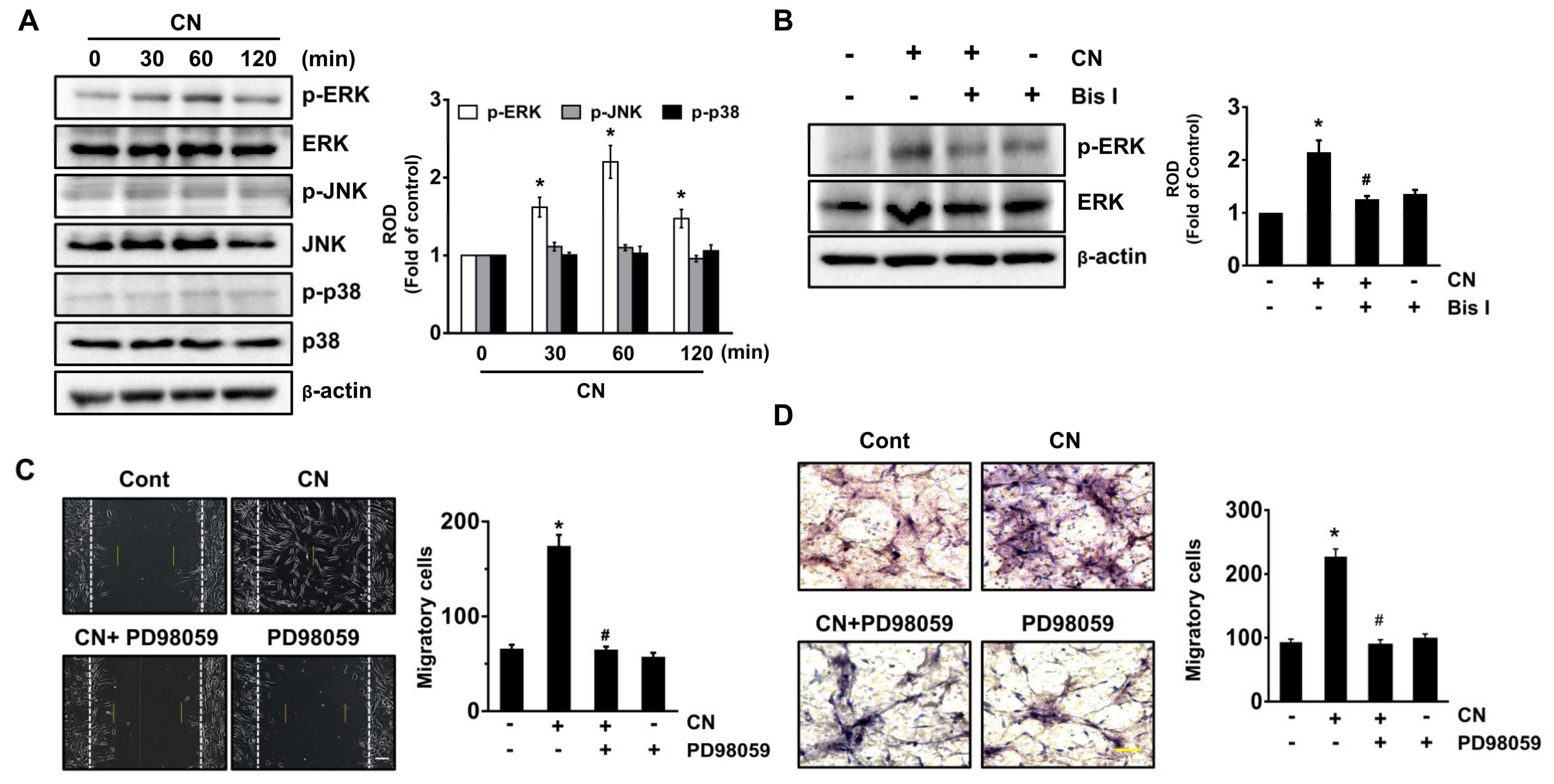 Cells 09 01467 g004 Cells 09 01467 g004