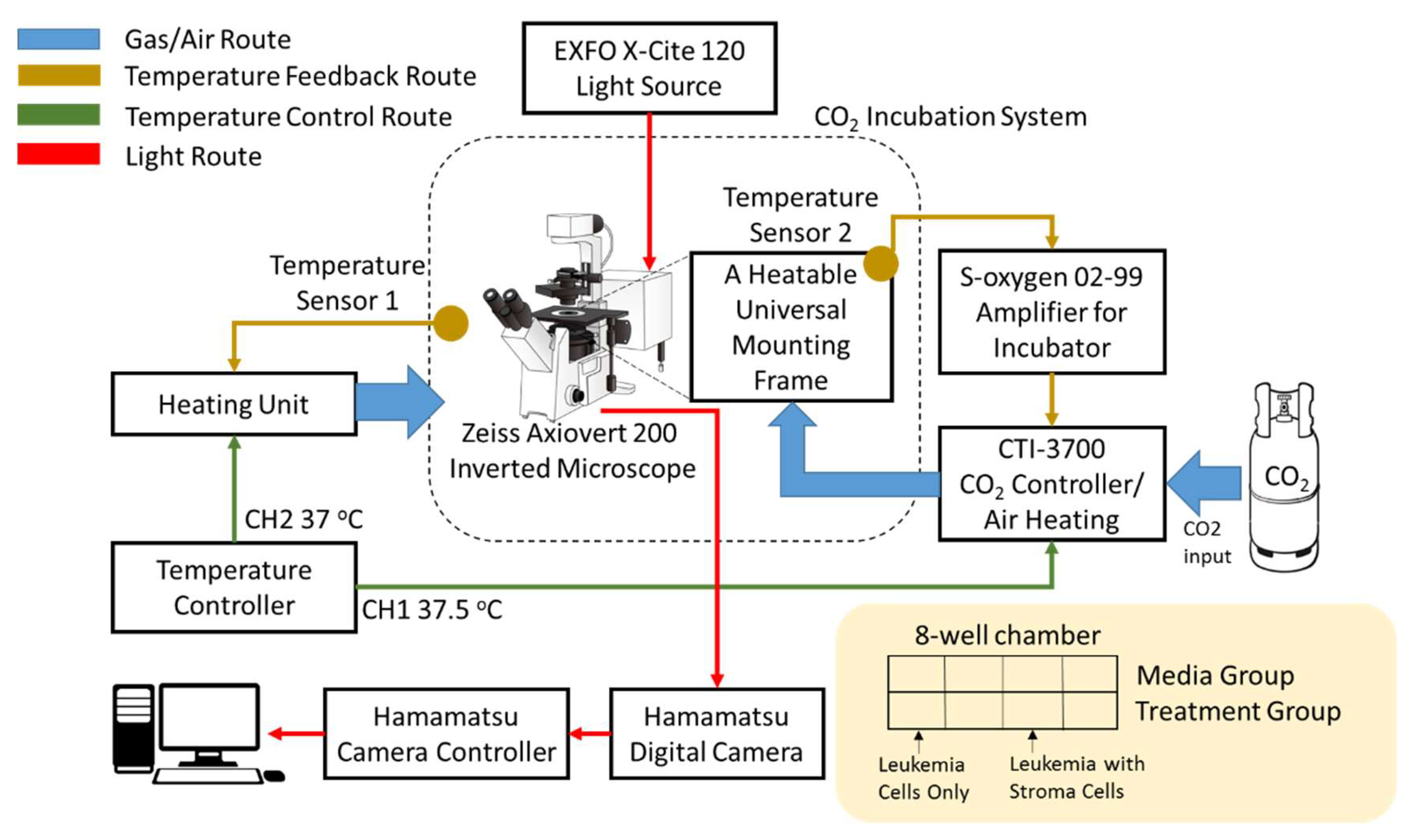 Cells 09 01470 g001 Cells 09 01470 g001