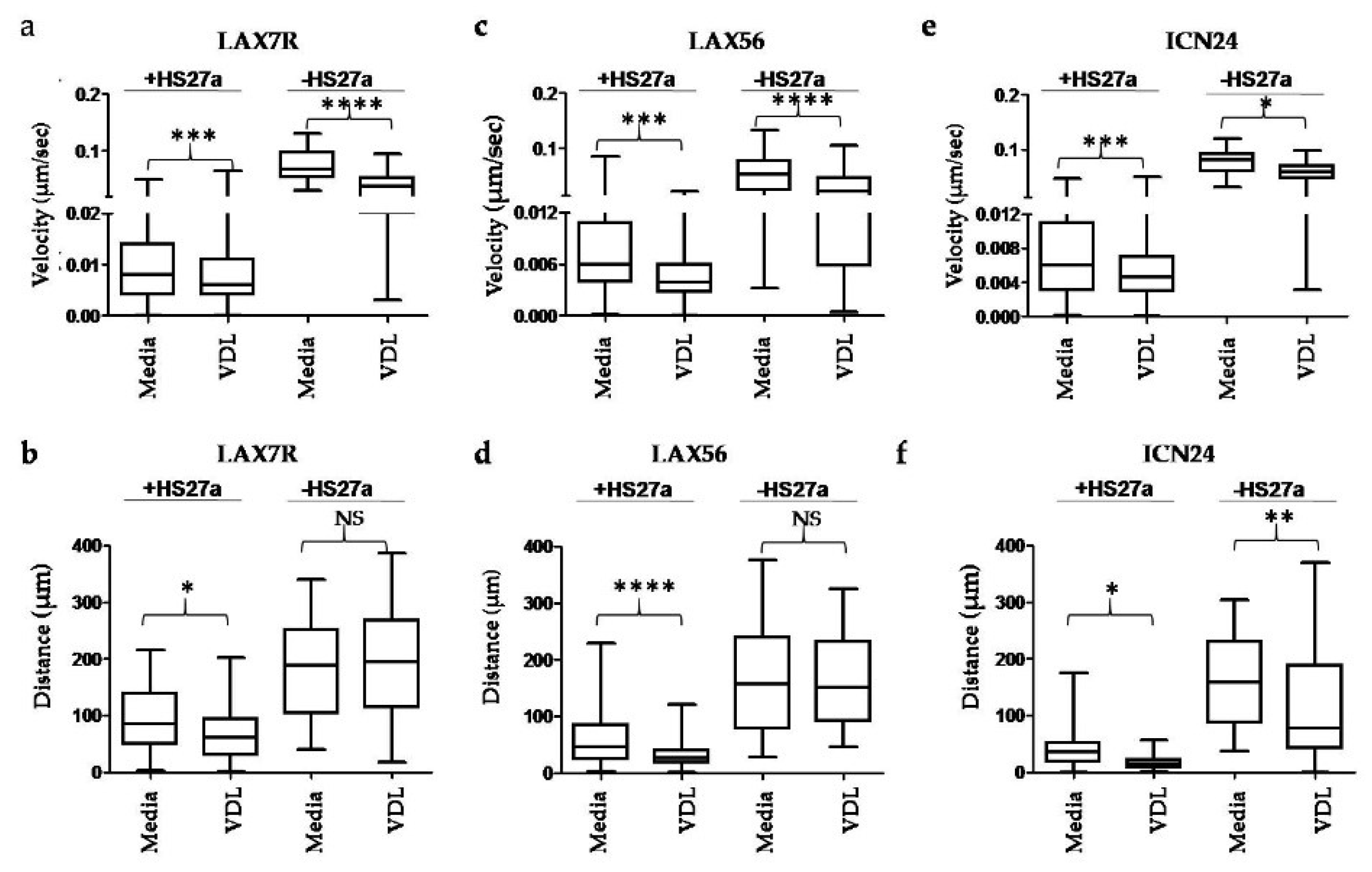 Cells 09 01470 g003 Cells 09 01470 g003