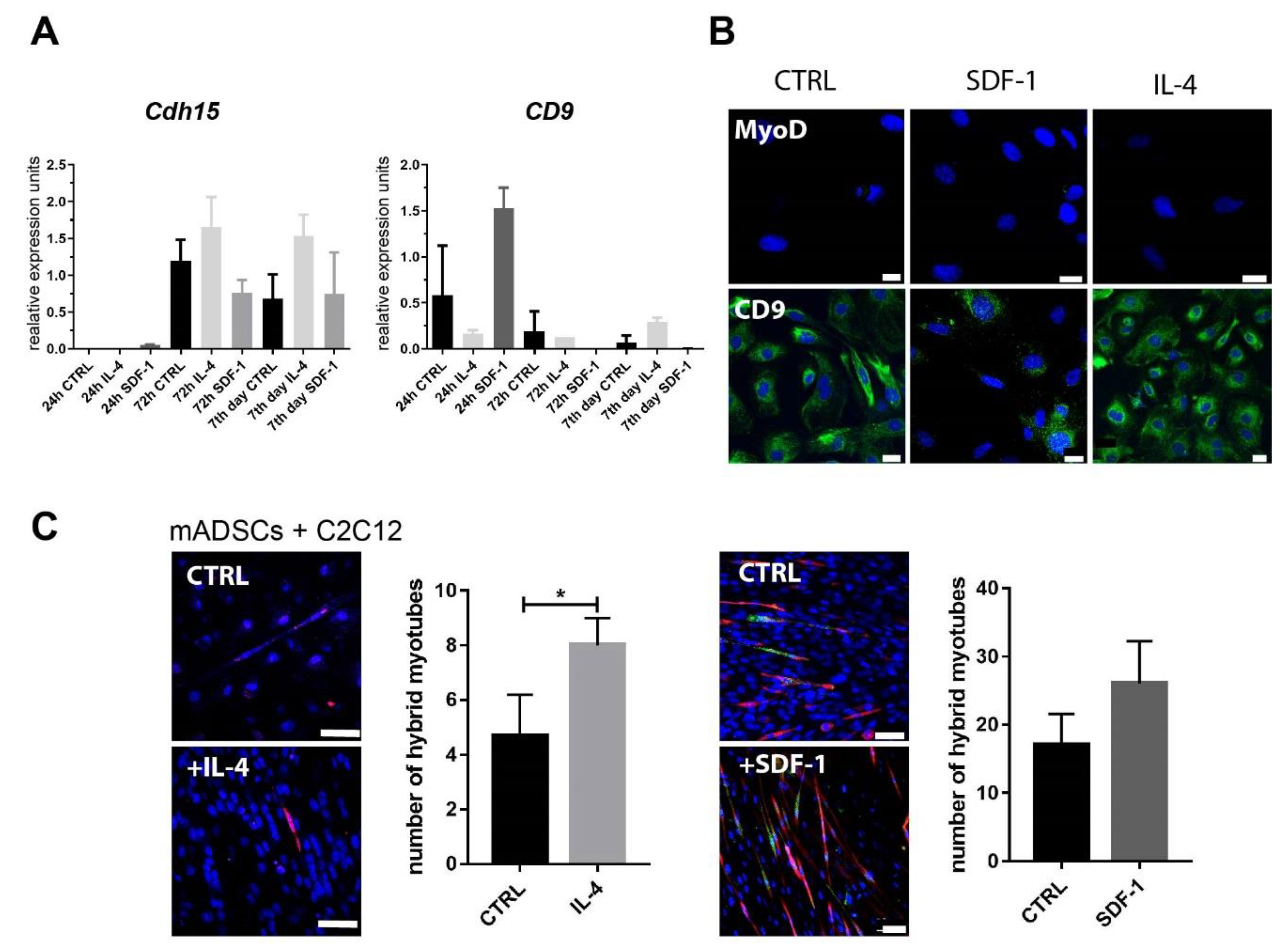 Cells 09 01479 g002 Cells 09 01479 g002