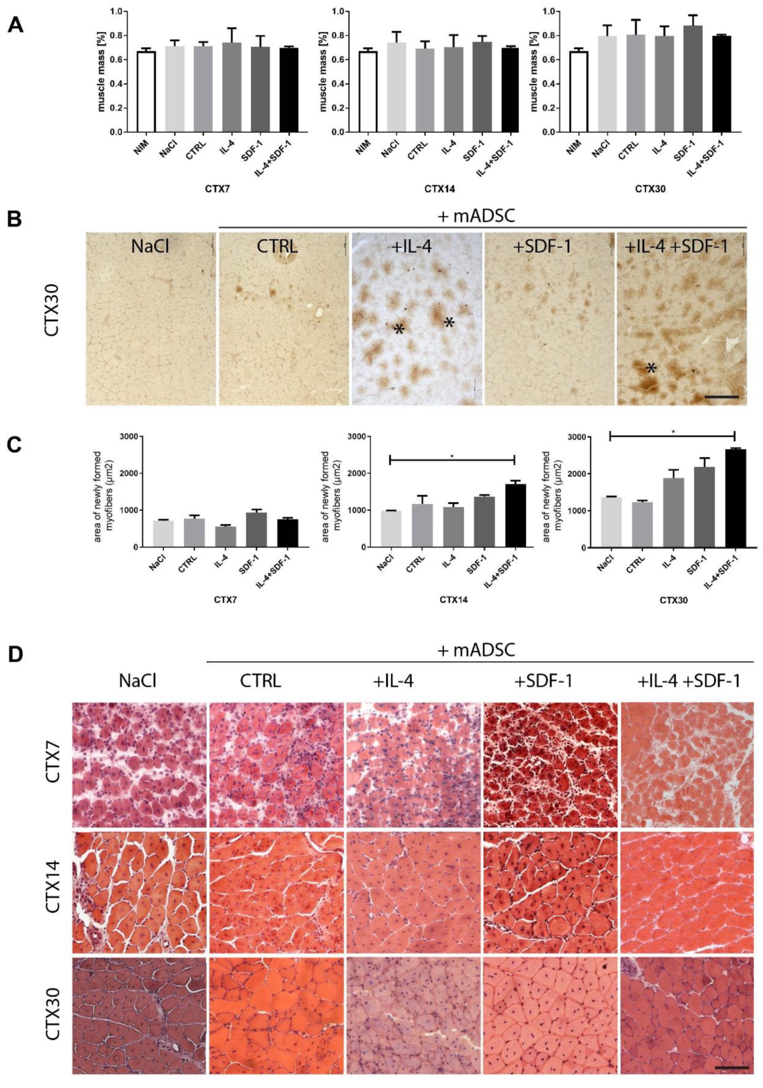 Cells 09 01479 g003 Cells 09 01479 g003