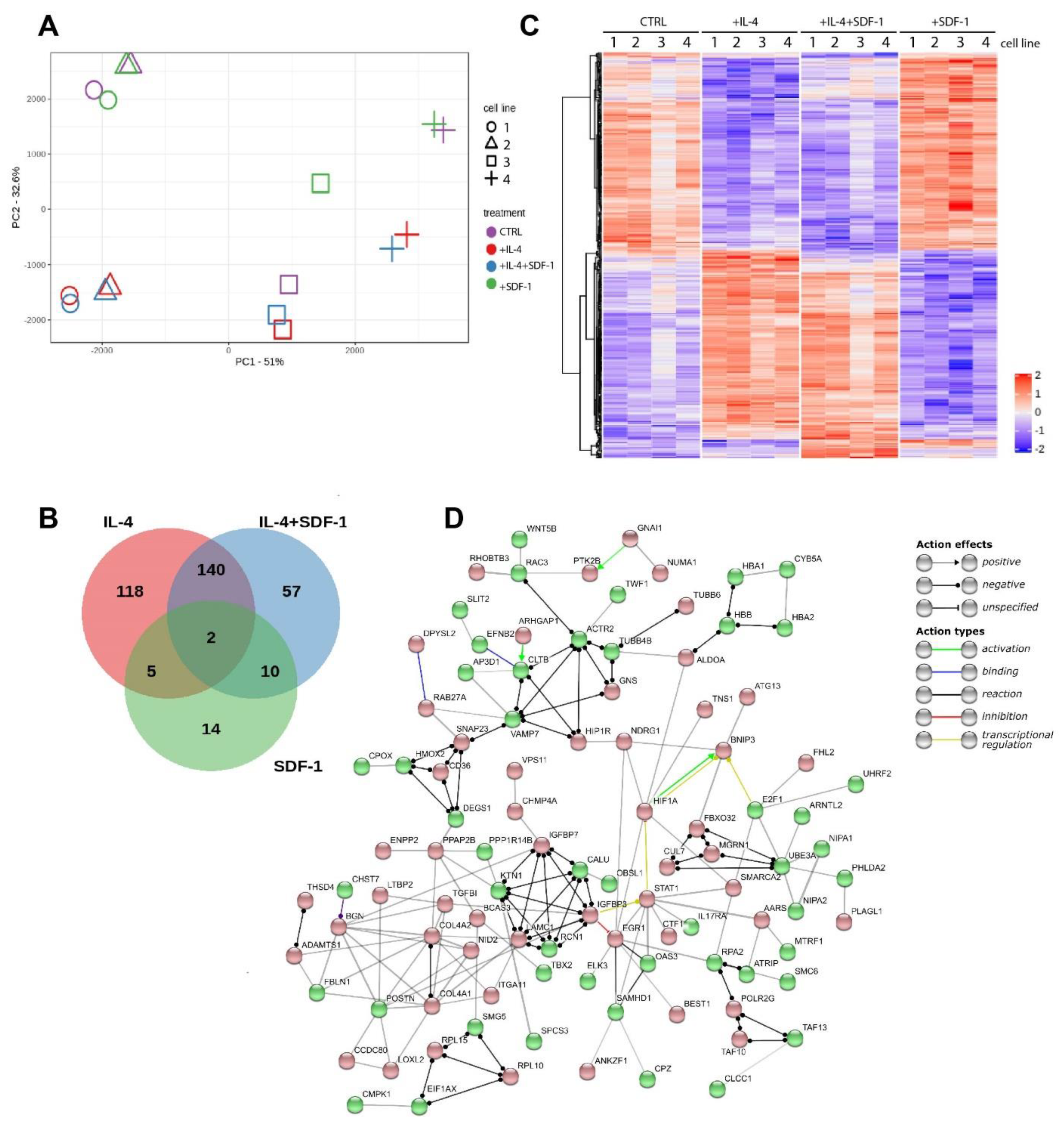 Cells 09 01479 g008 Cells 09 01479 g008