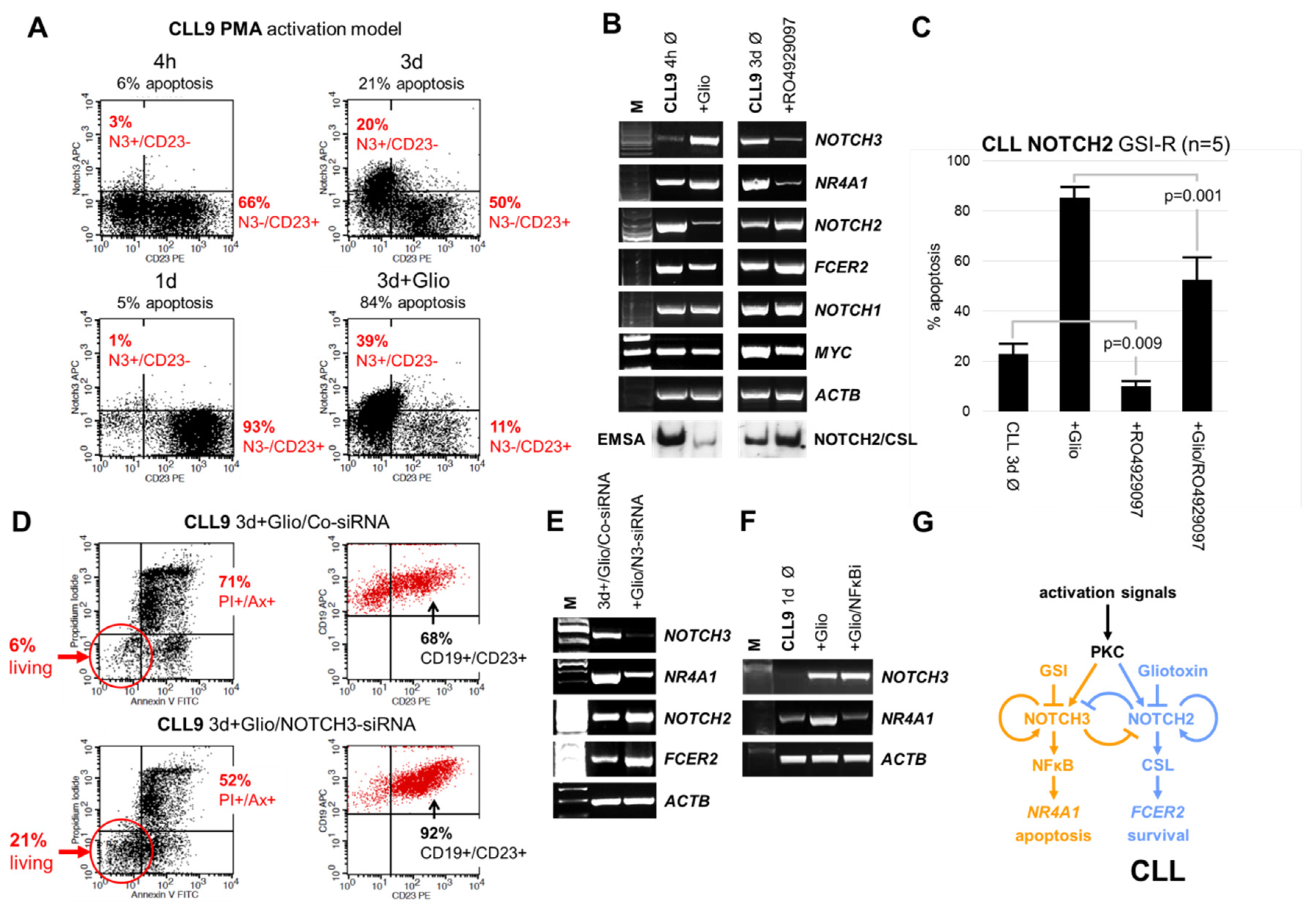 Cells 09 01484 g005 Cells 09 01484 g005