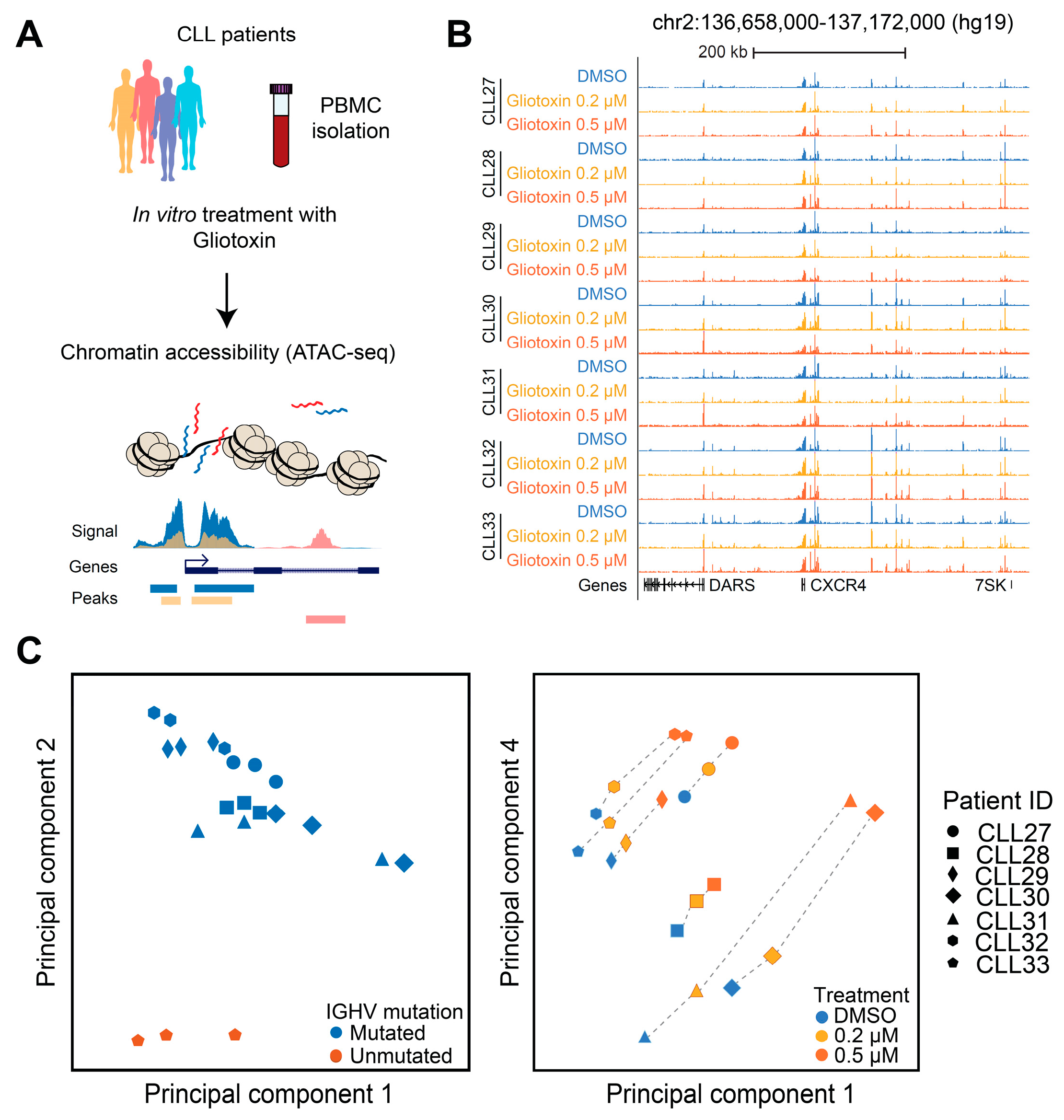 Cells 09 01484 g006 Cells 09 01484 g006