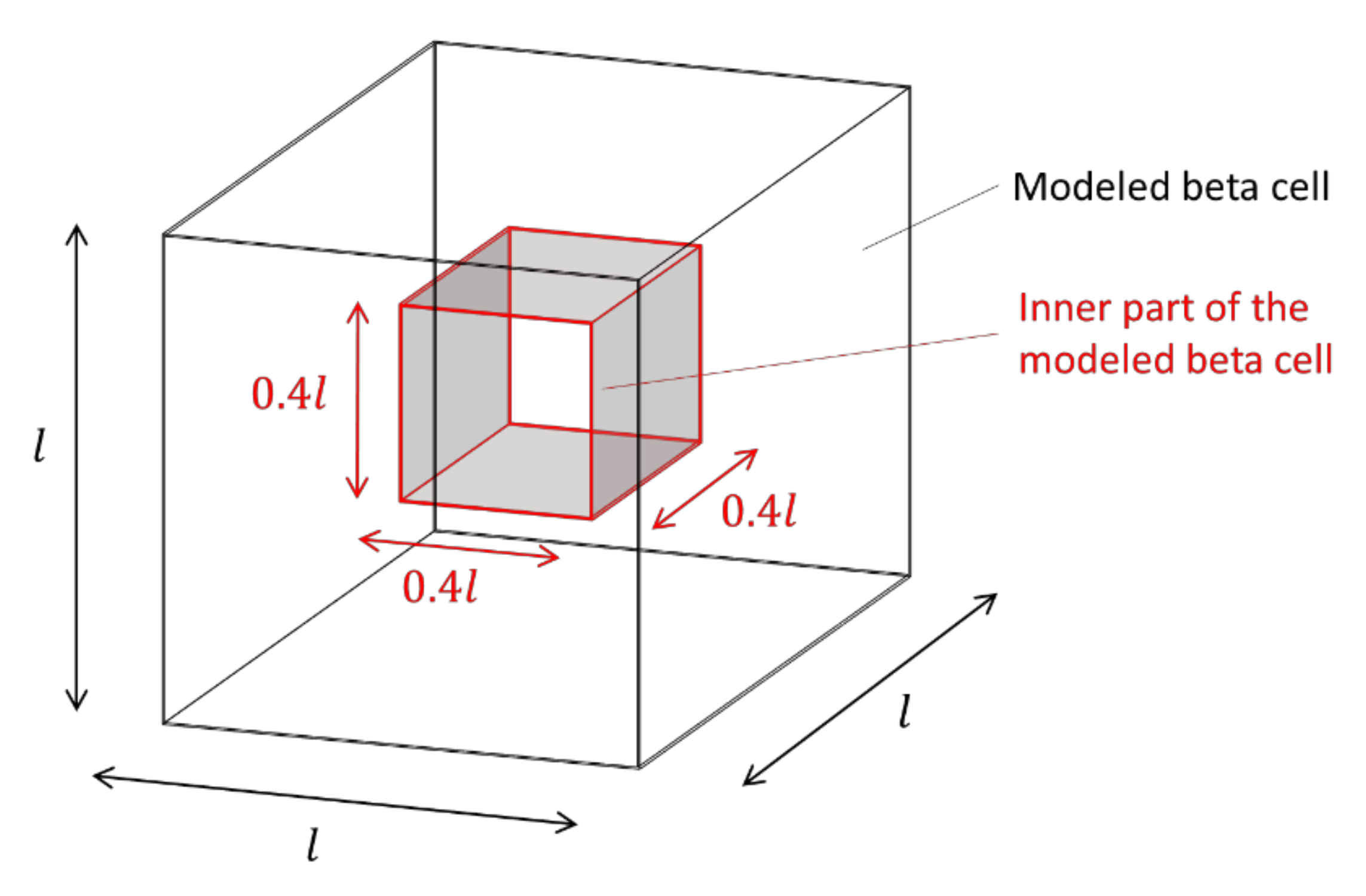 Cells 09 01487 g008 Cells 09 01487 g008