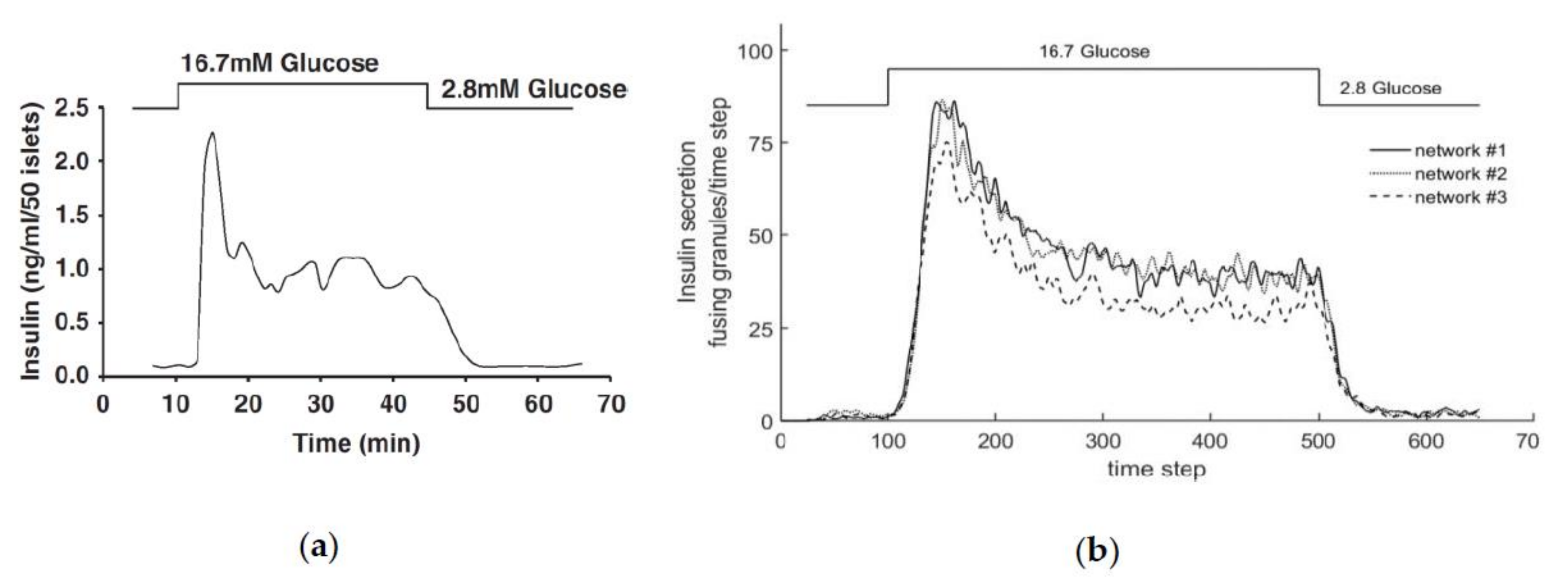 Cells 09 01487 g016 Cells 09 01487 g016