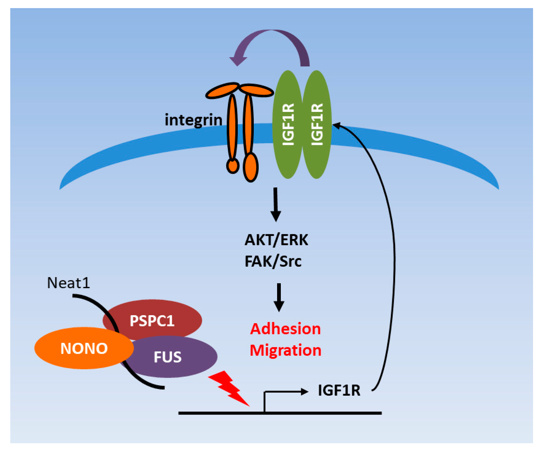Cells 09 01490 g007 Cells 09 01490 g007