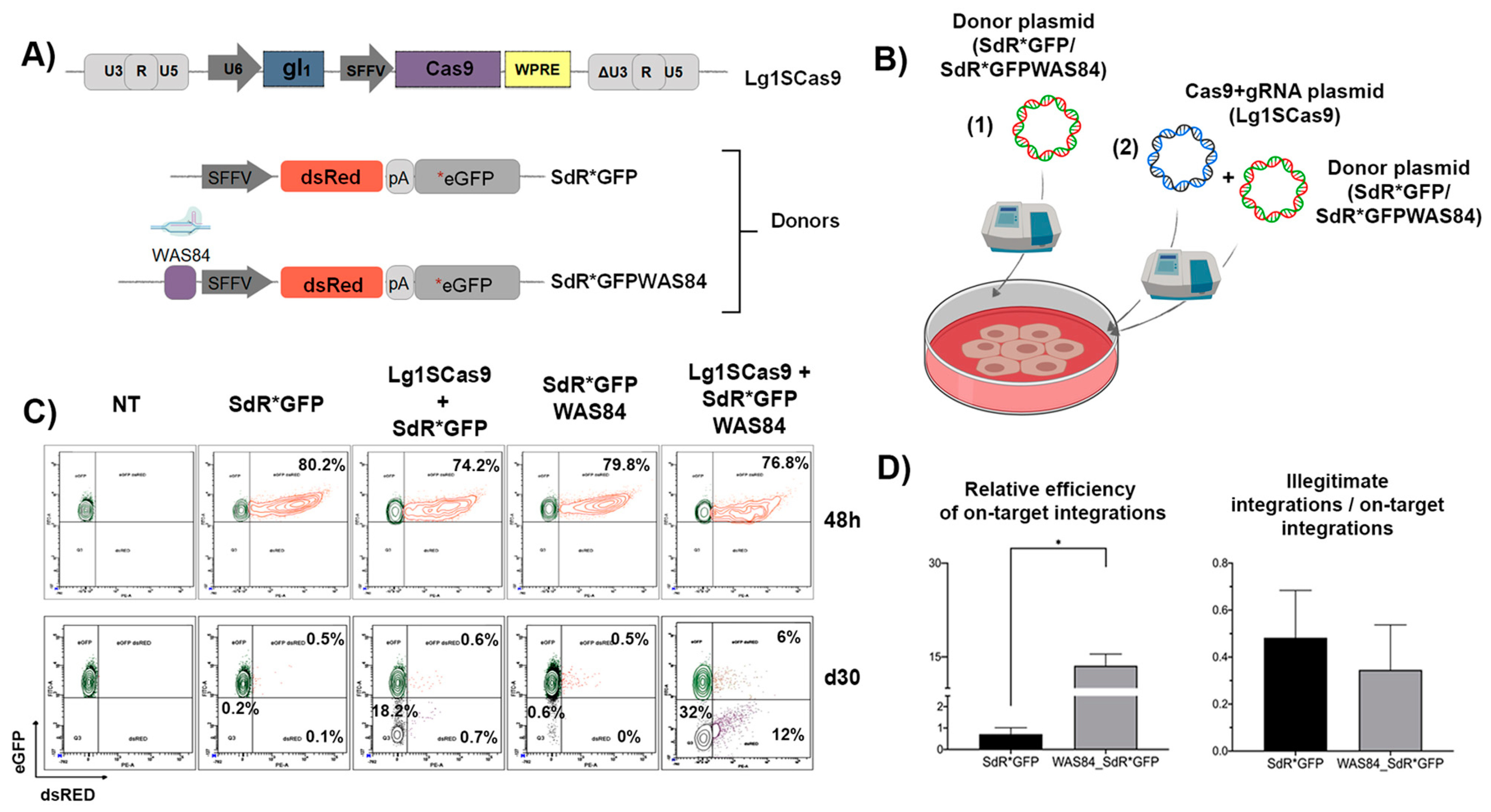 Cells 09 01492 g002 Cells 09 01492 g002