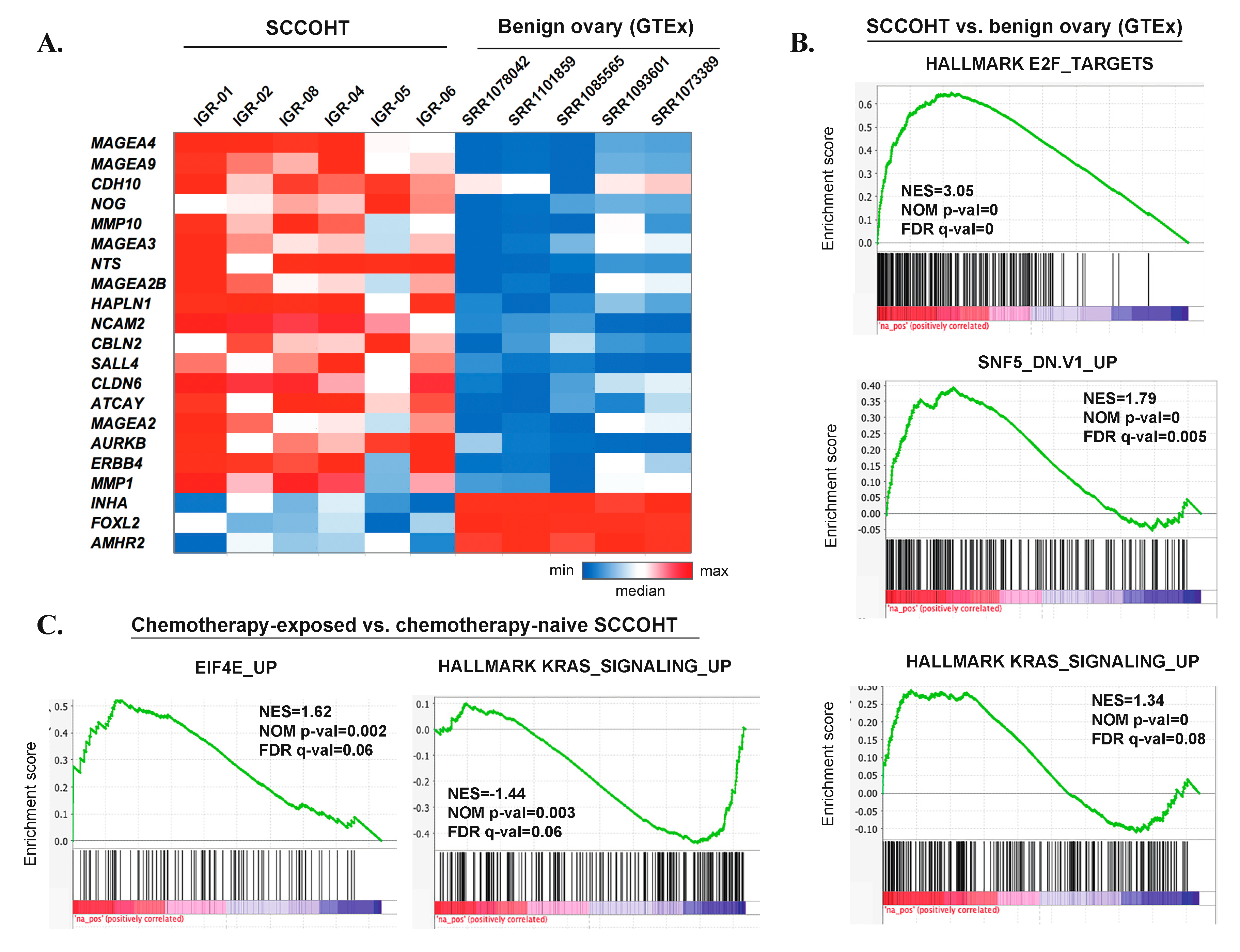 Cells 09 01496 g004 Cells 09 01496 g004