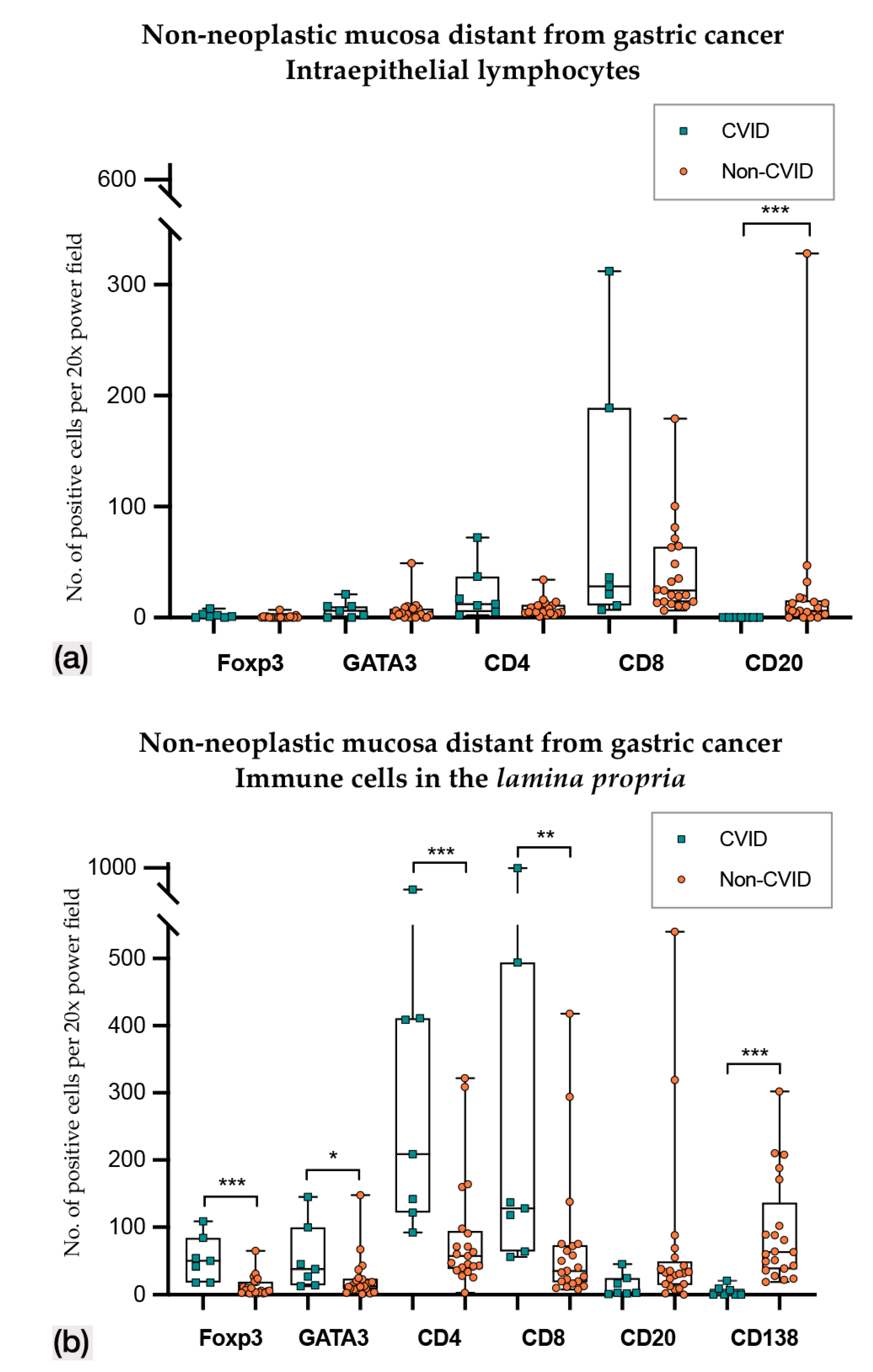 Cells 09 01498 g005 Cells 09 01498 g005