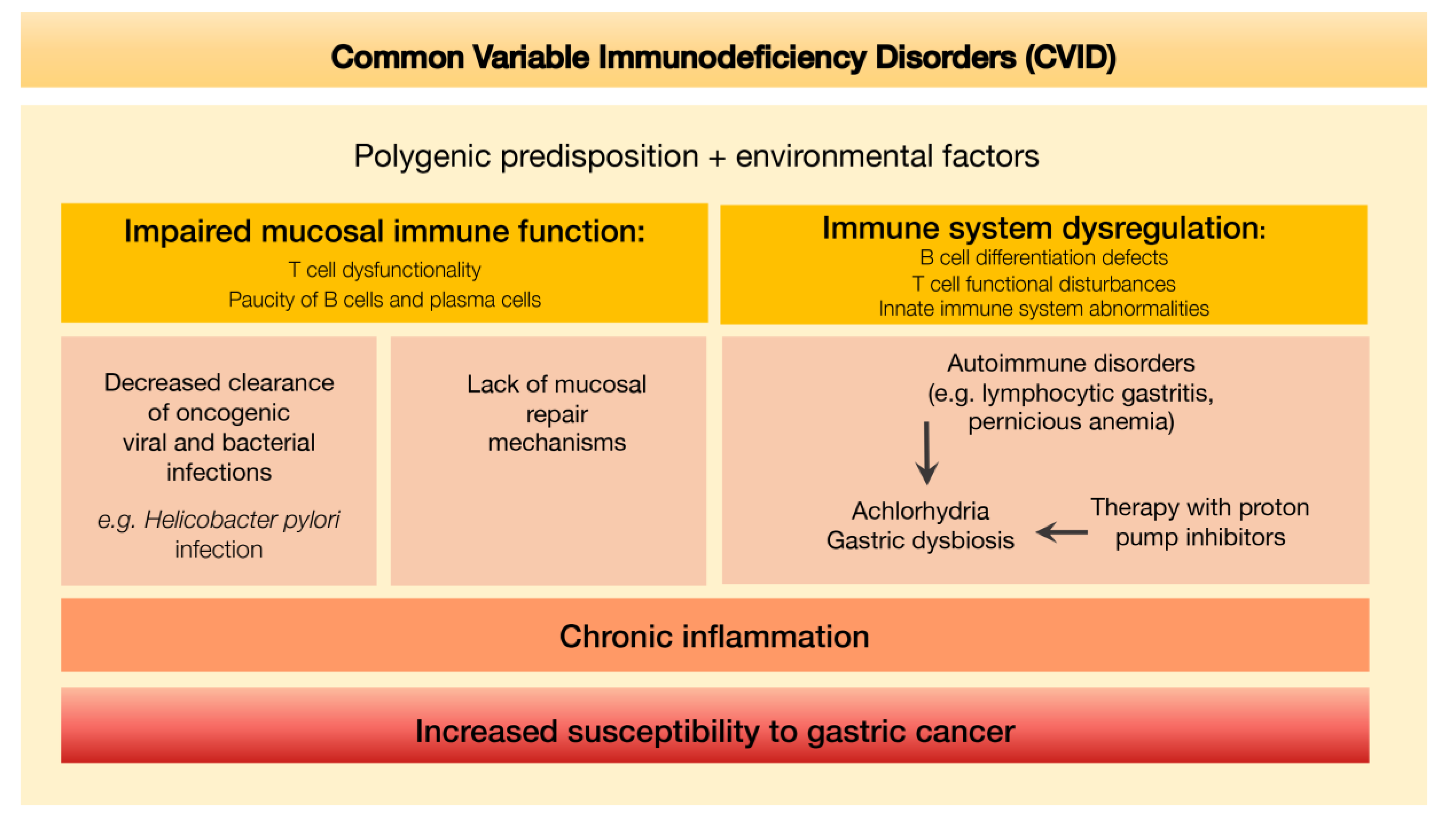 Cells 09 01498 g008 Cells 09 01498 g008