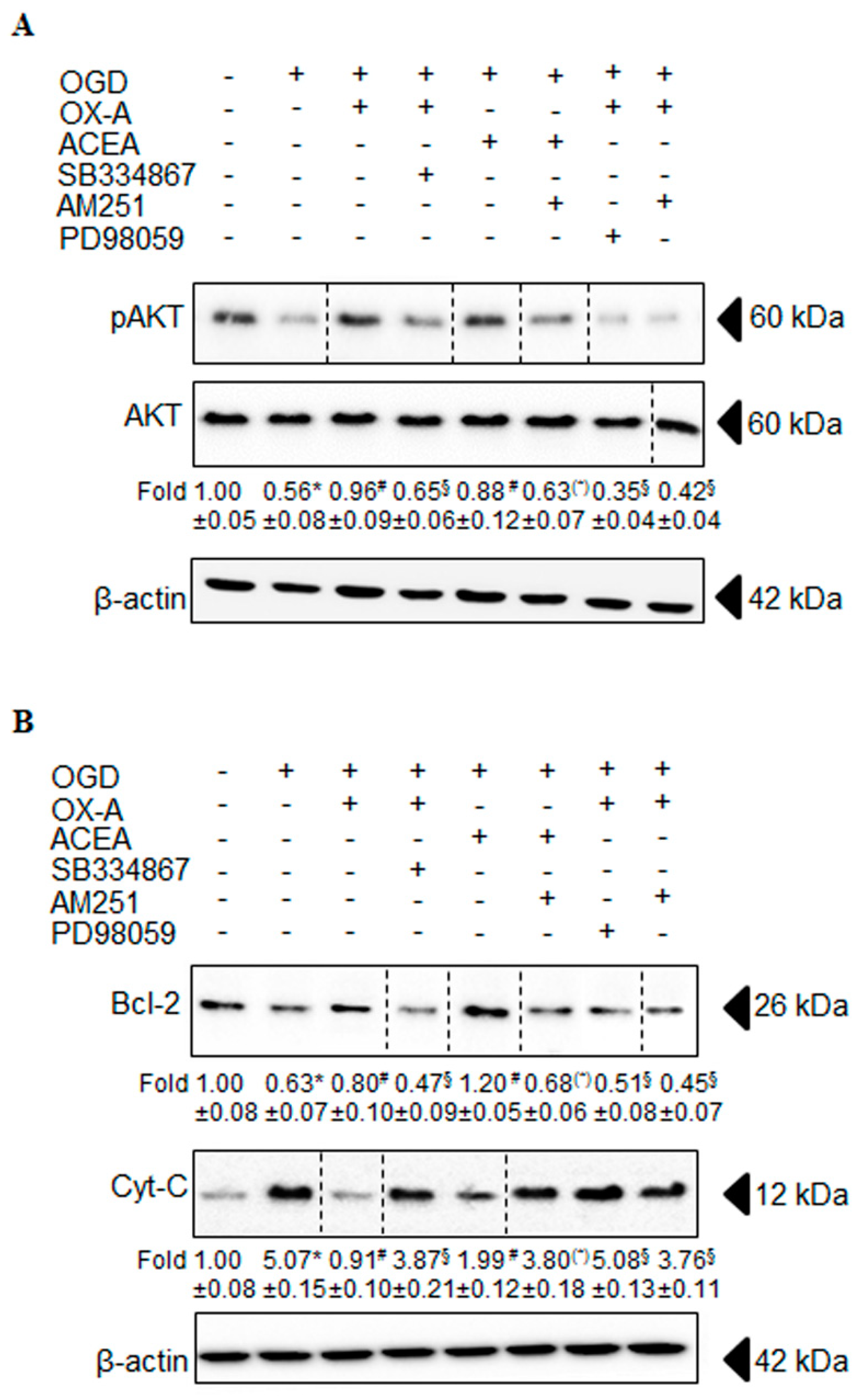 Cells 09 01507 g006 Cells 09 01507 g006