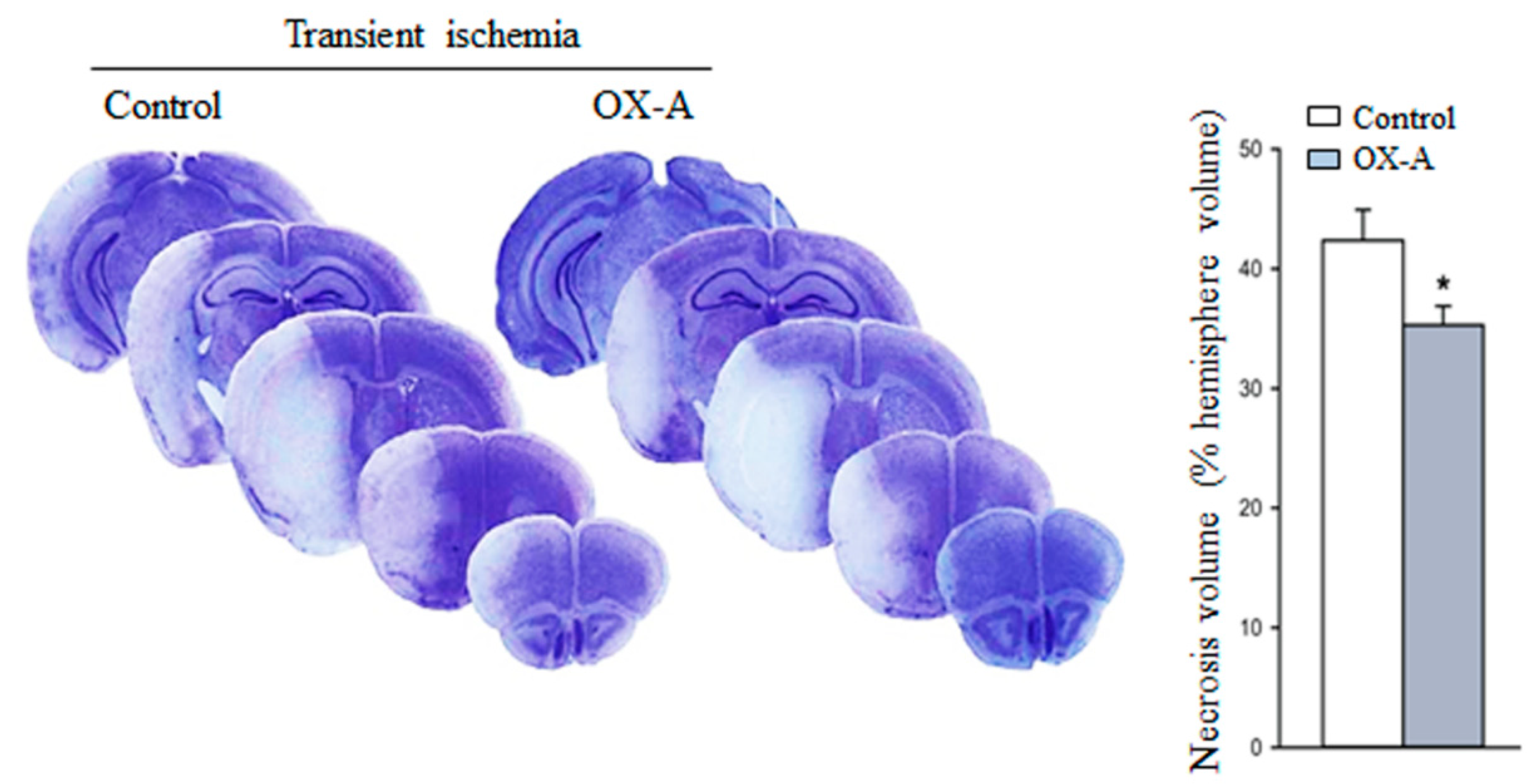 Cells 09 01507 g007 Cells 09 01507 g007