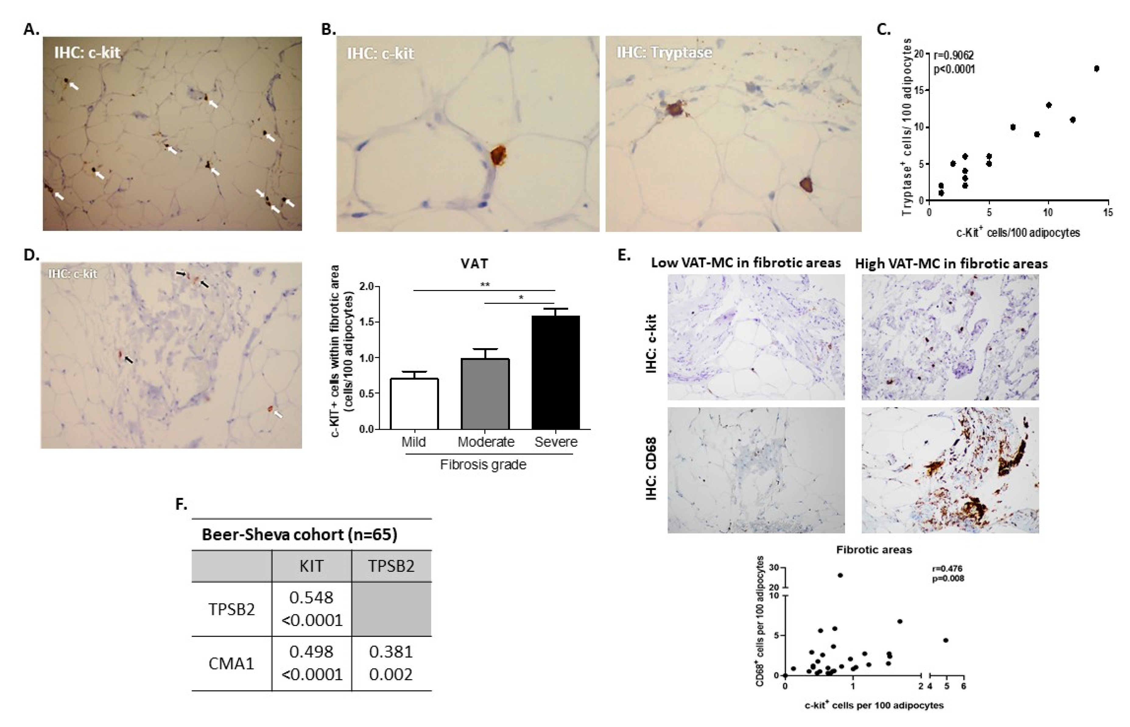 Cells 09 01508 g001 Cells 09 01508 g001