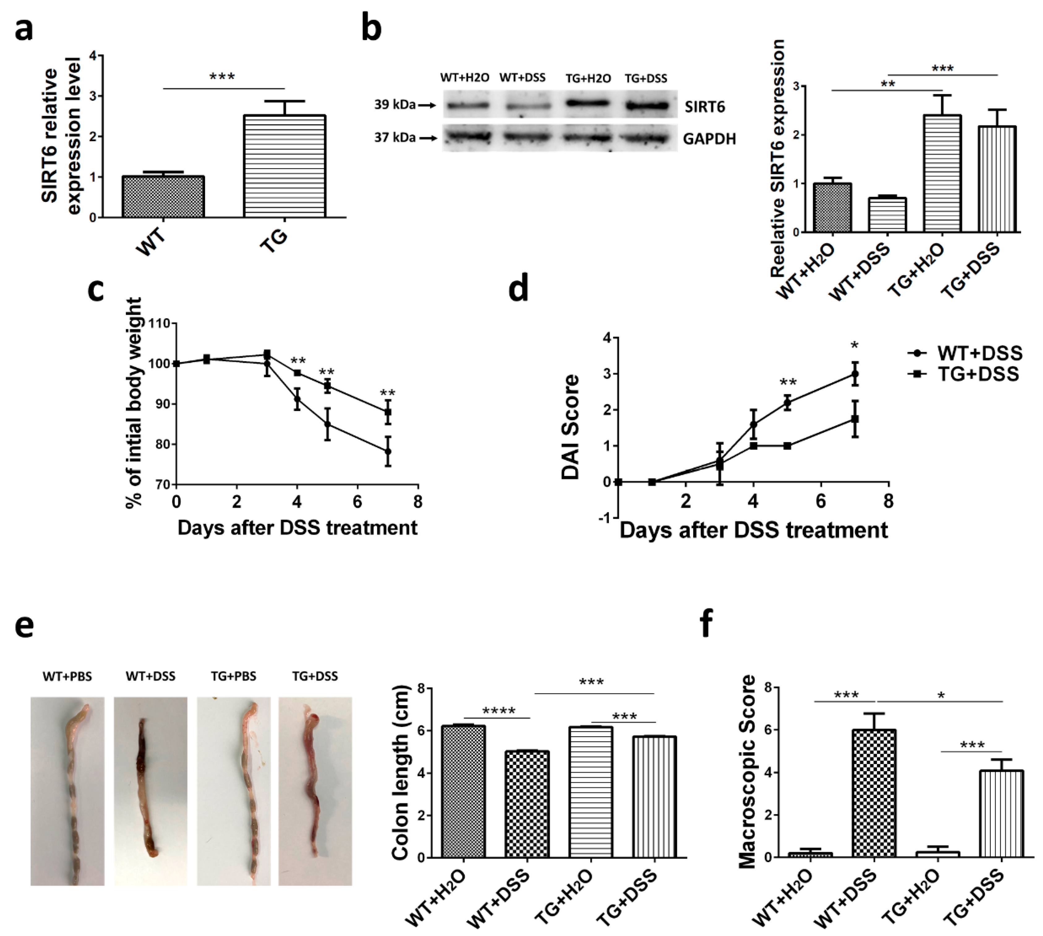 Cells 09 01513 g001 Cells 09 01513 g001