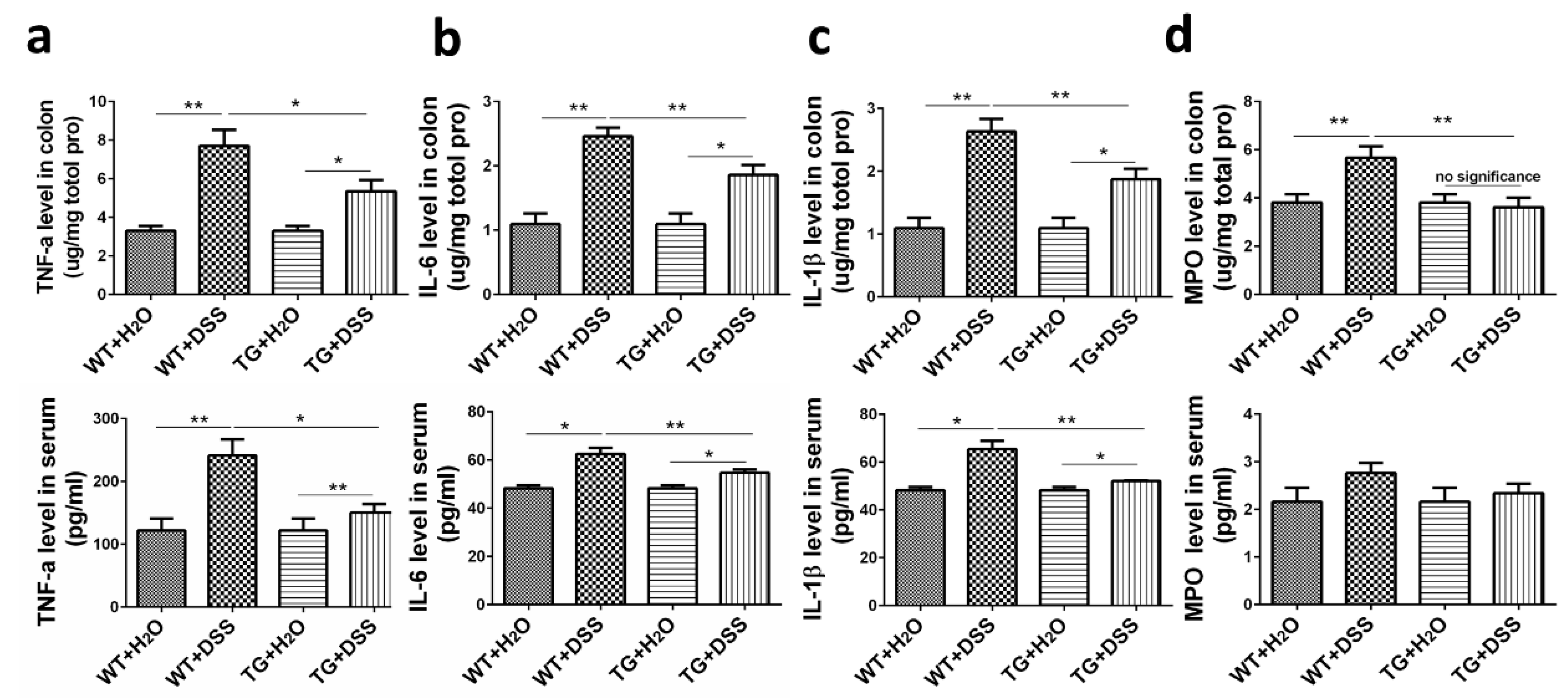 Cells 09 01513 g004 Cells 09 01513 g004
