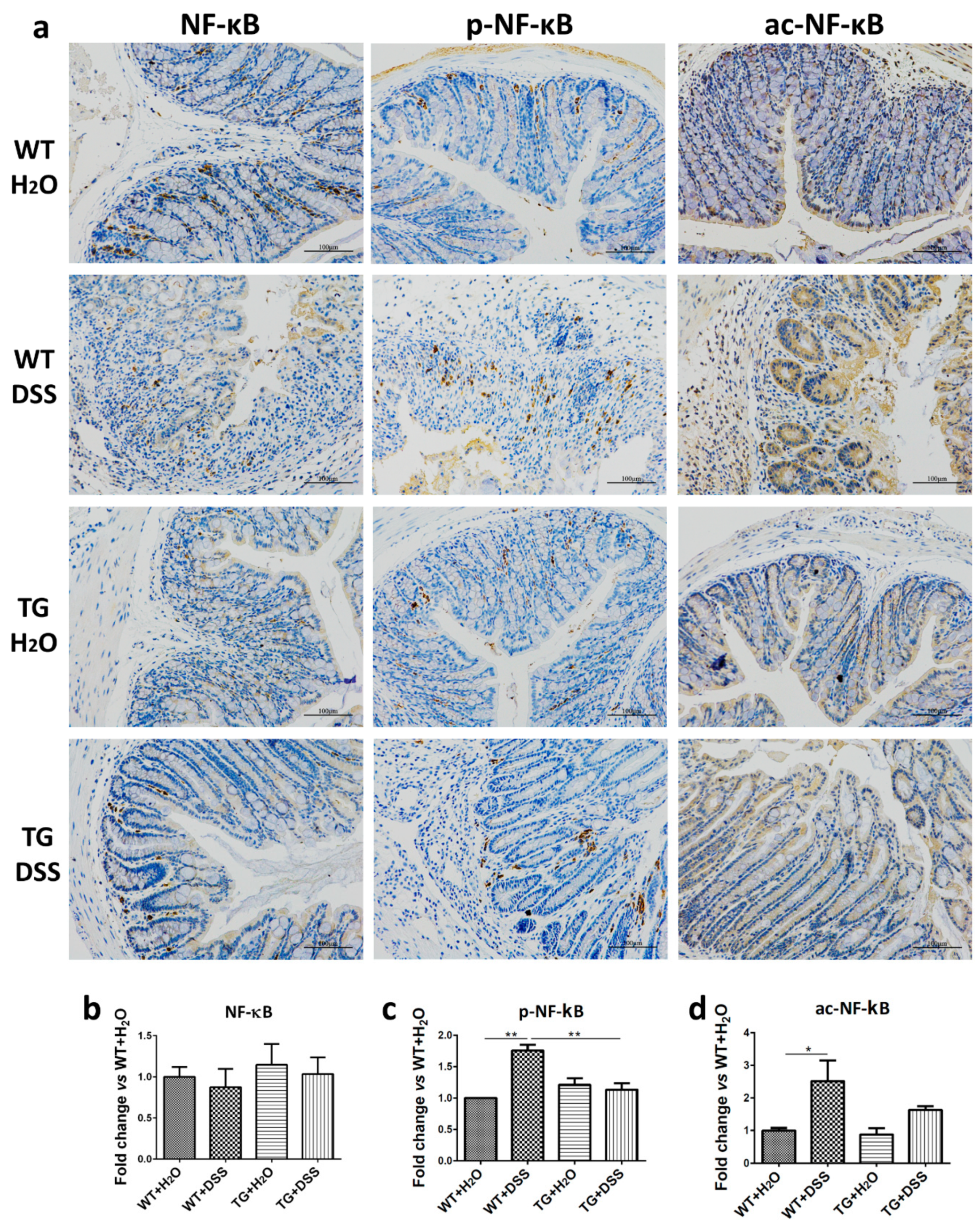 Cells 09 01513 g005 Cells 09 01513 g005