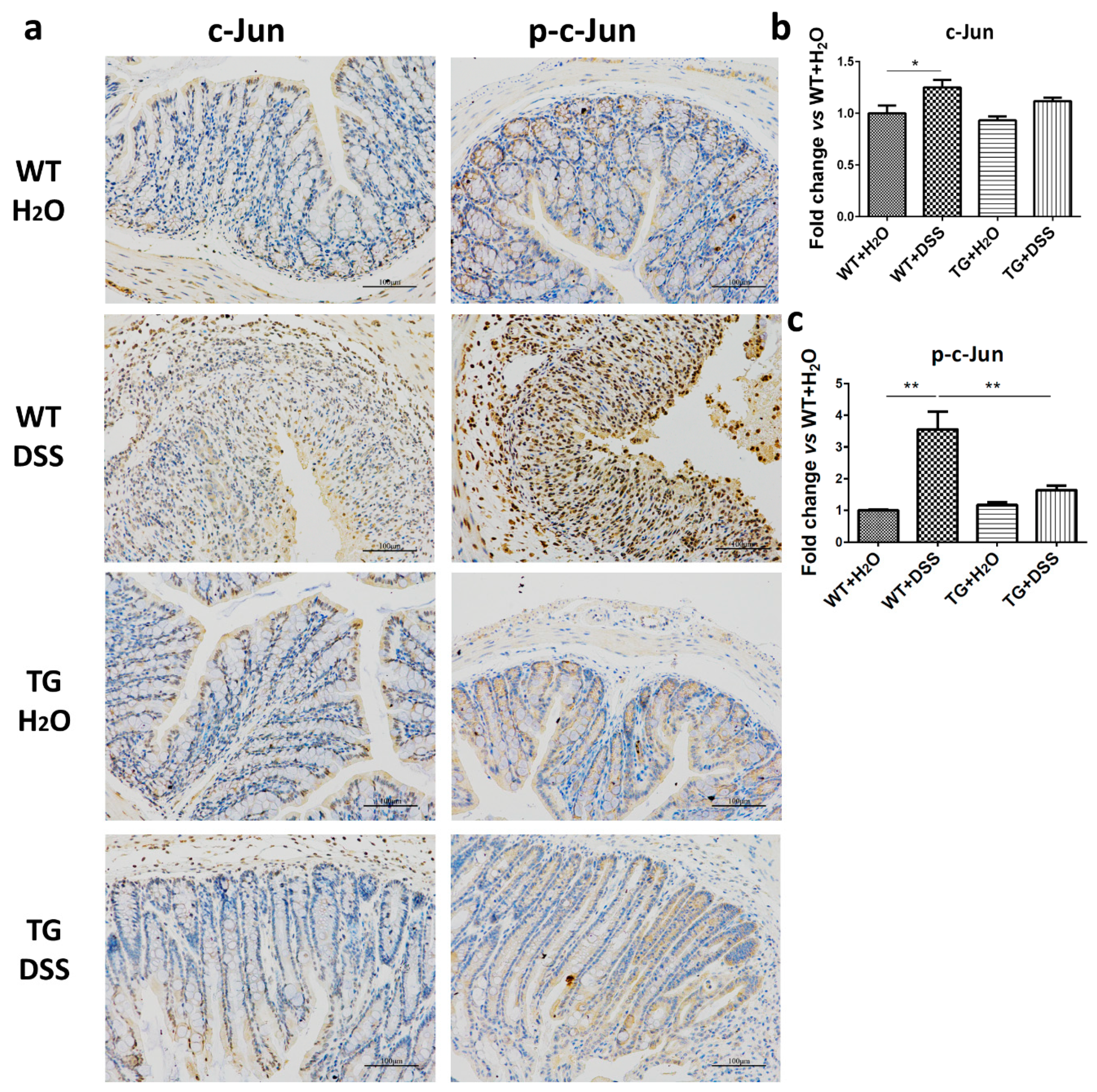 Cells 09 01513 g006 Cells 09 01513 g006