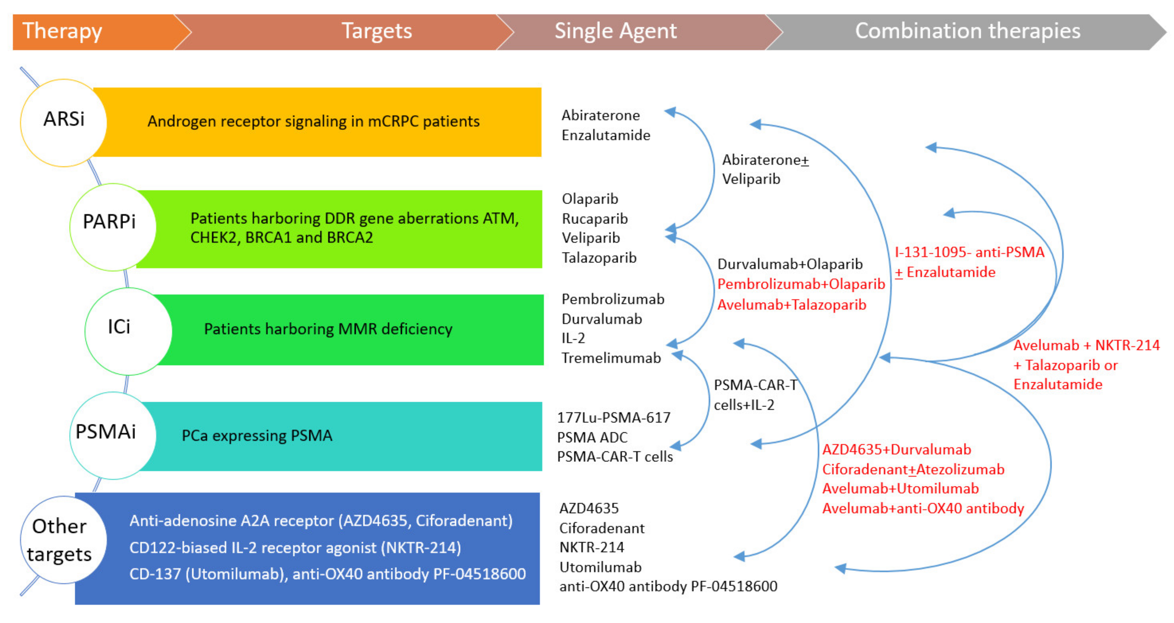 Cells 09 01522 g001 Cells 09 01522 g001