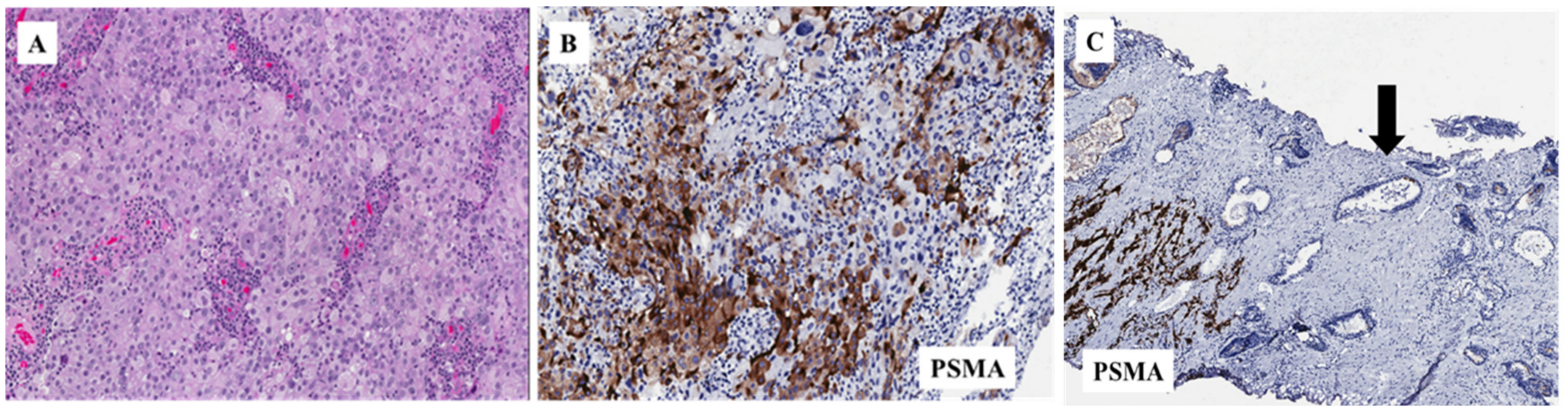 Cells 09 01522 g002 Cells 09 01522 g002