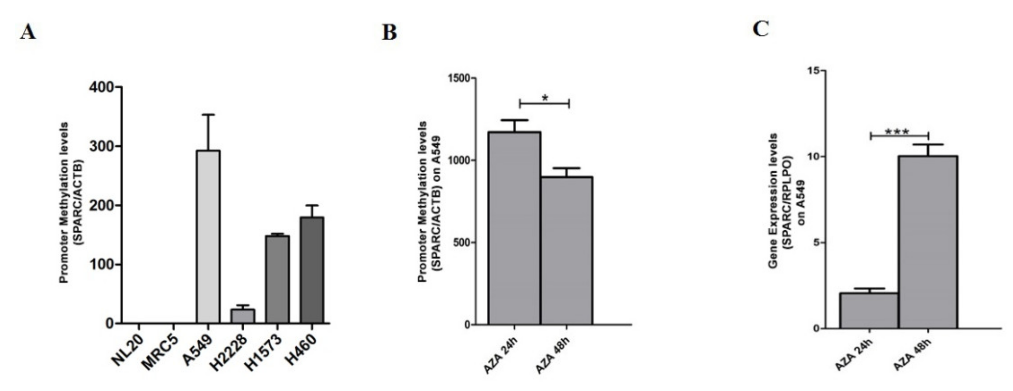 Cells 09 01523 g004 Cells 09 01523 g004