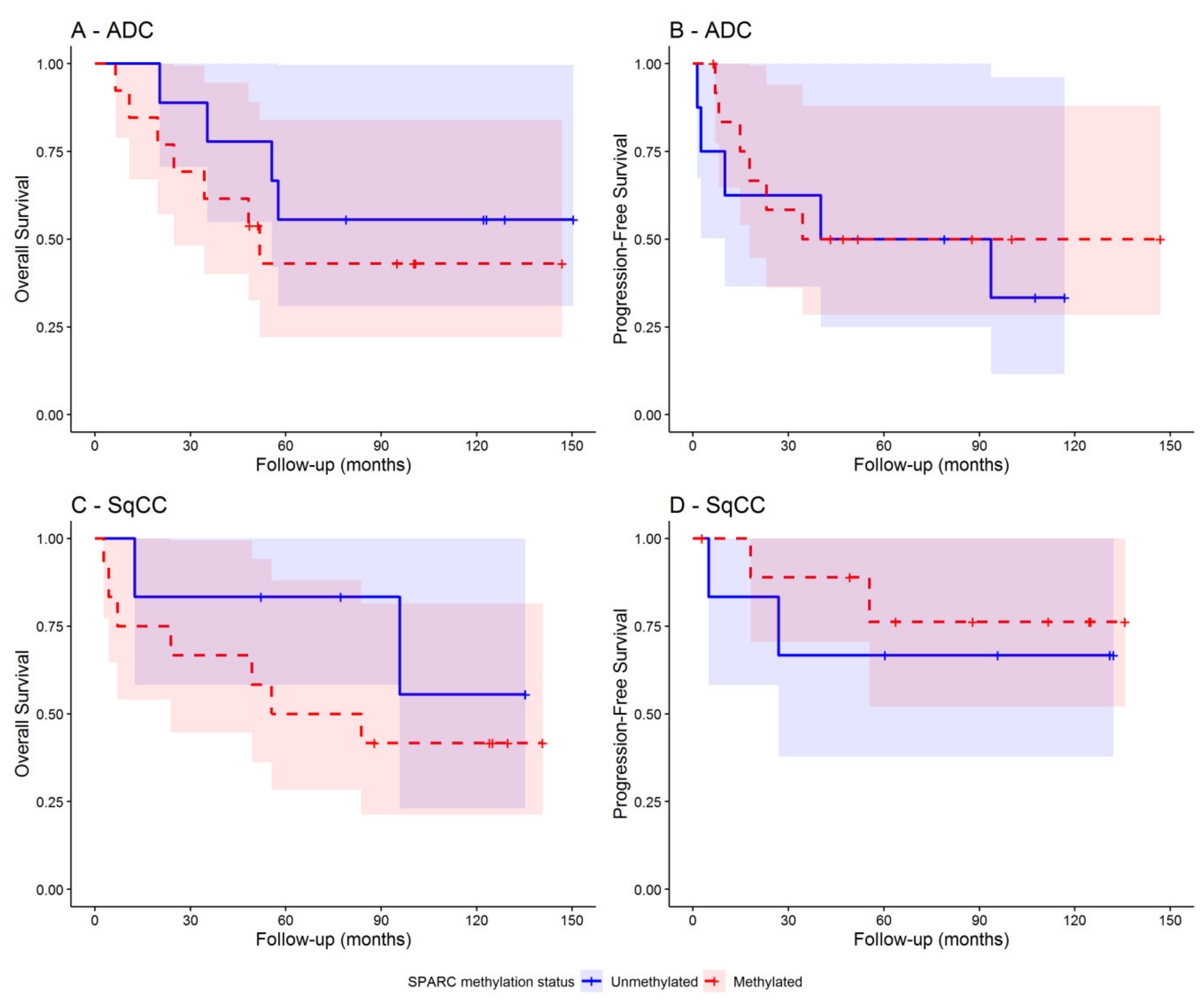 Cells 09 01523 g009 Cells 09 01523 g009