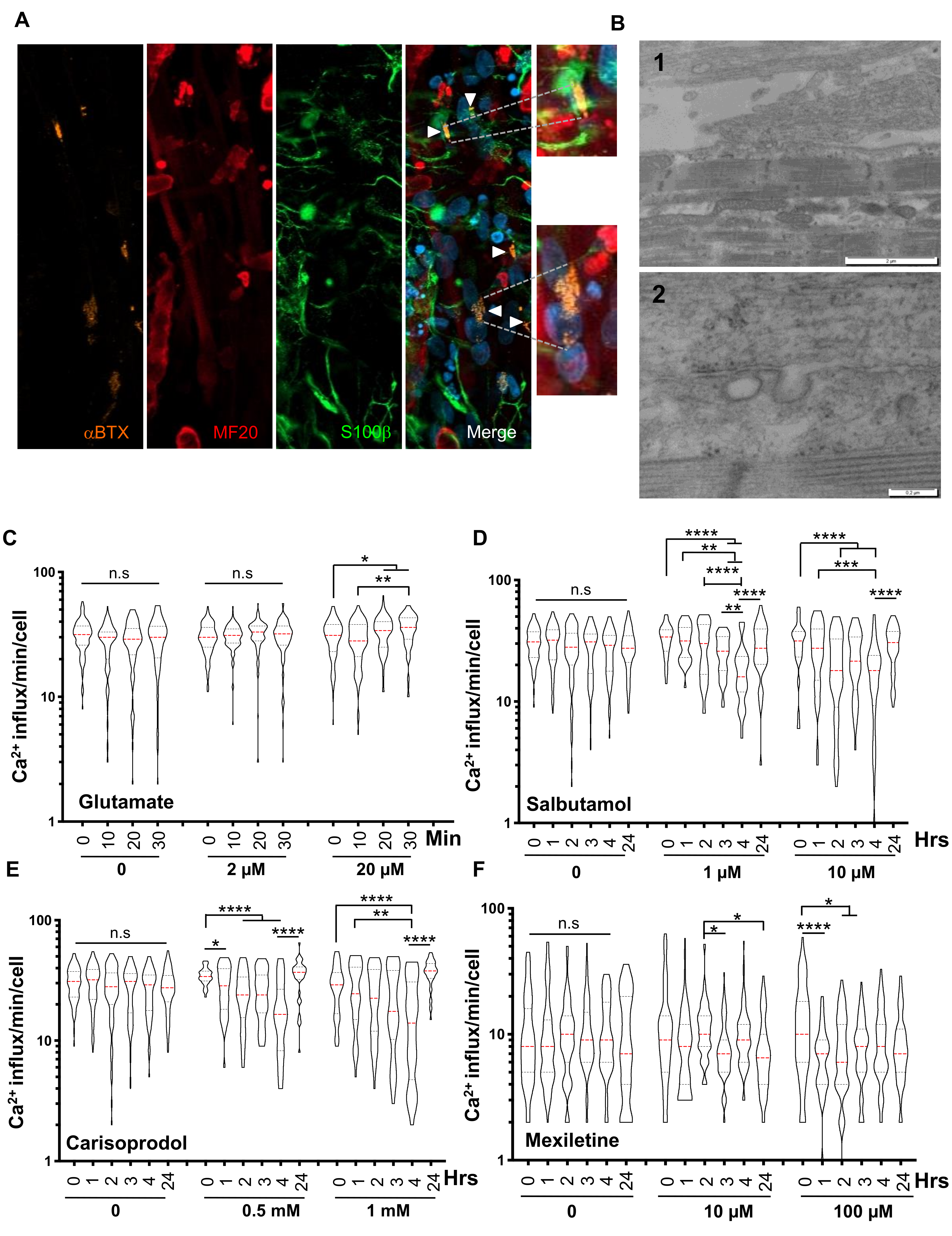 Cells 09 01531 g004 Cells 09 01531 g004
