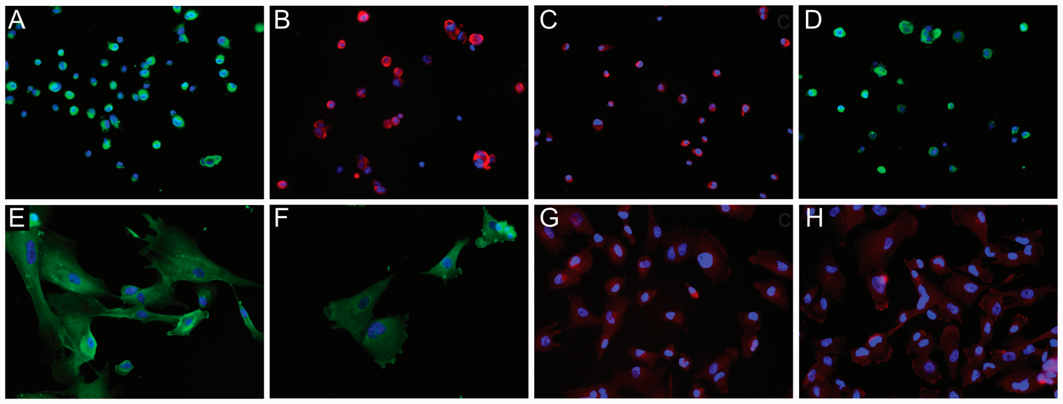 Cells 09 01538 g003 Cells 09 01538 g003