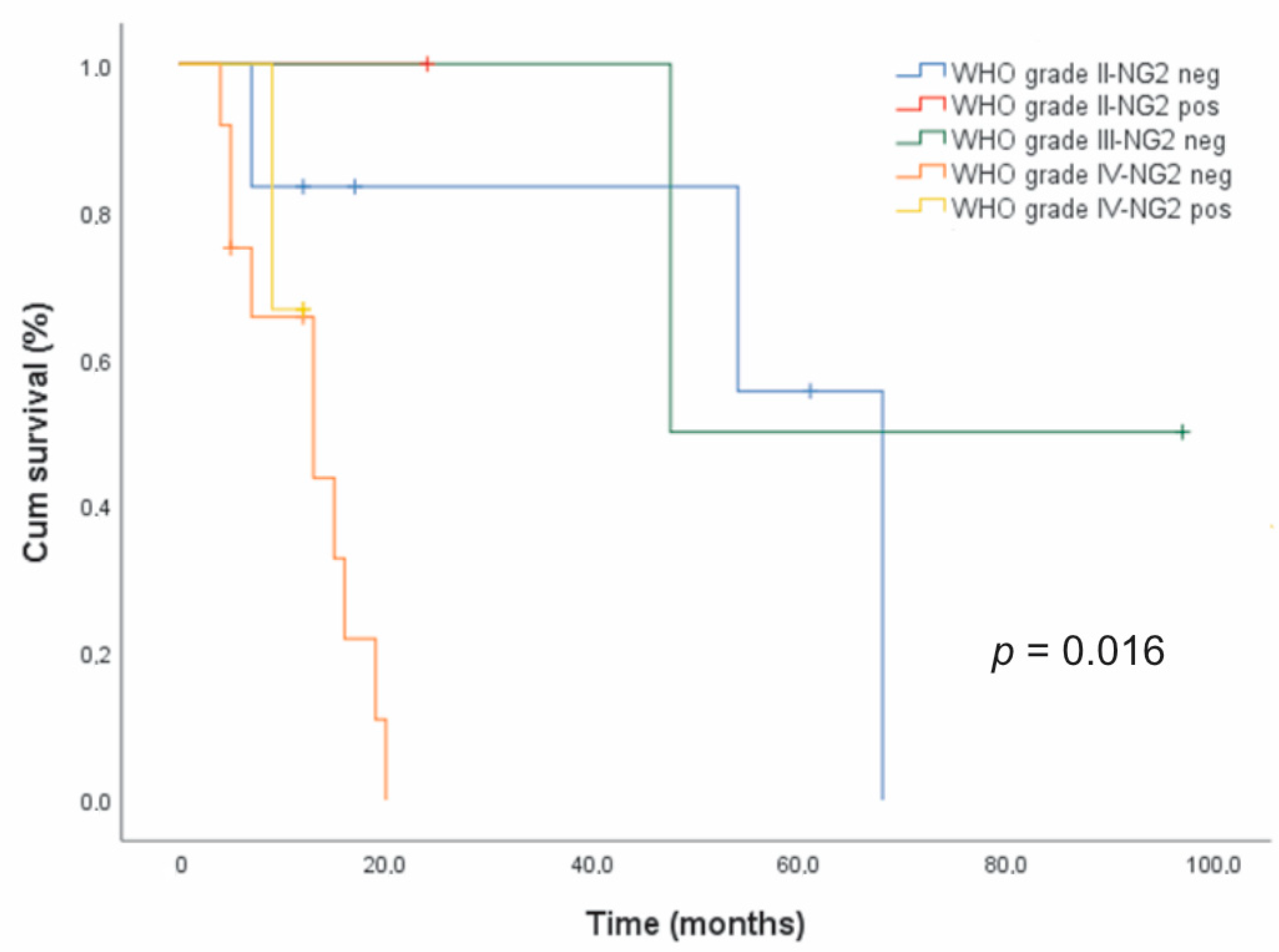 Cells 09 01538 g004 Cells 09 01538 g004