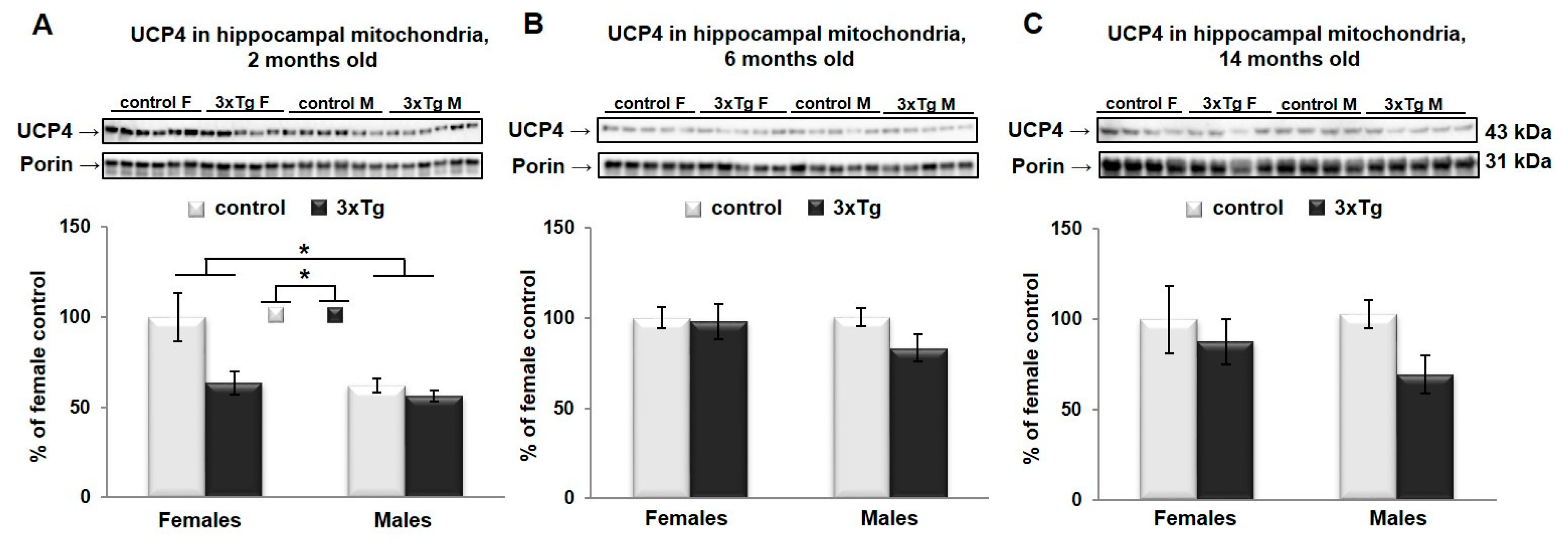 Cells 09 01541 g007 Cells 09 01541 g007