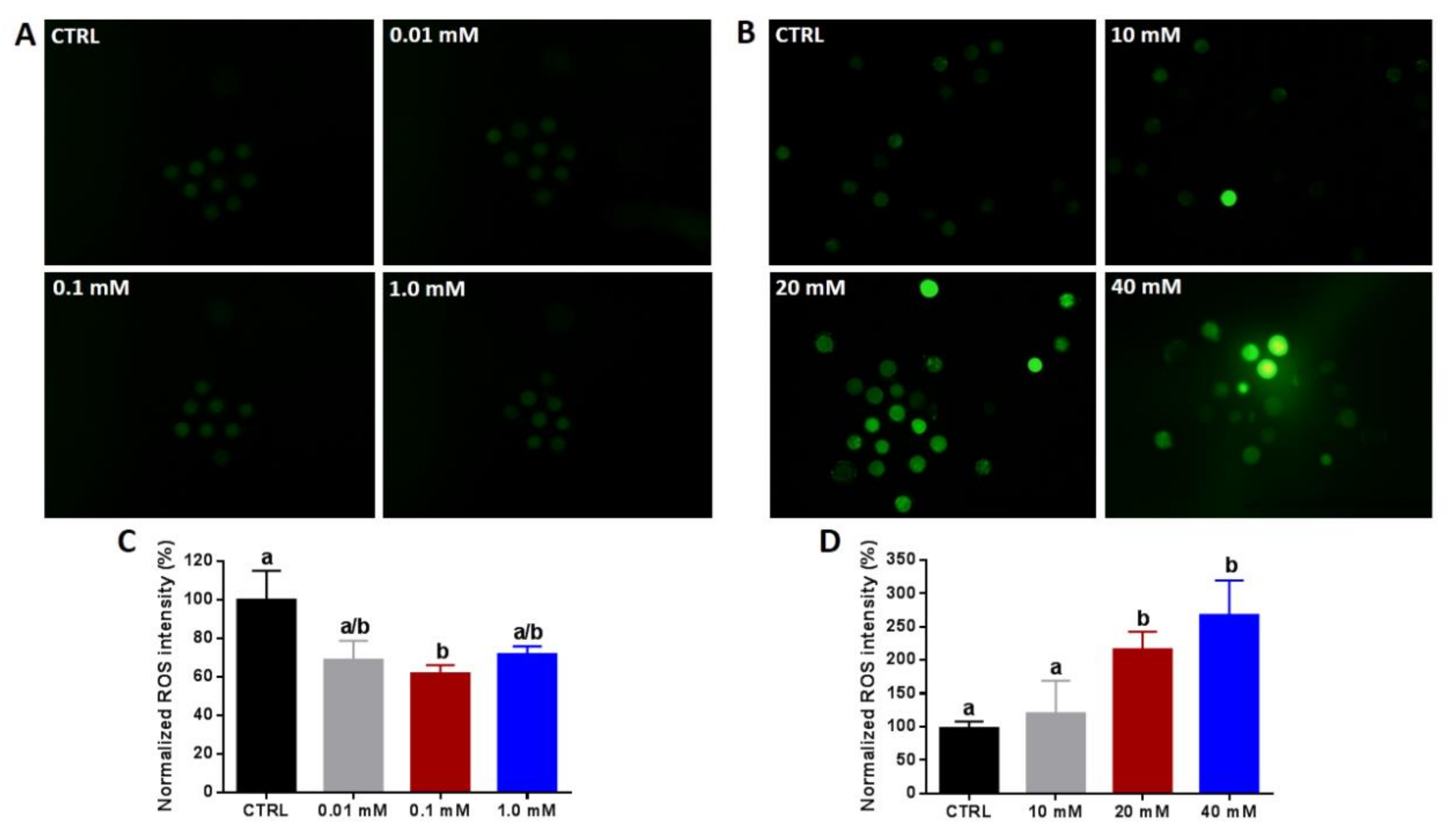 Cells 09 01550 g002 Cells 09 01550 g002