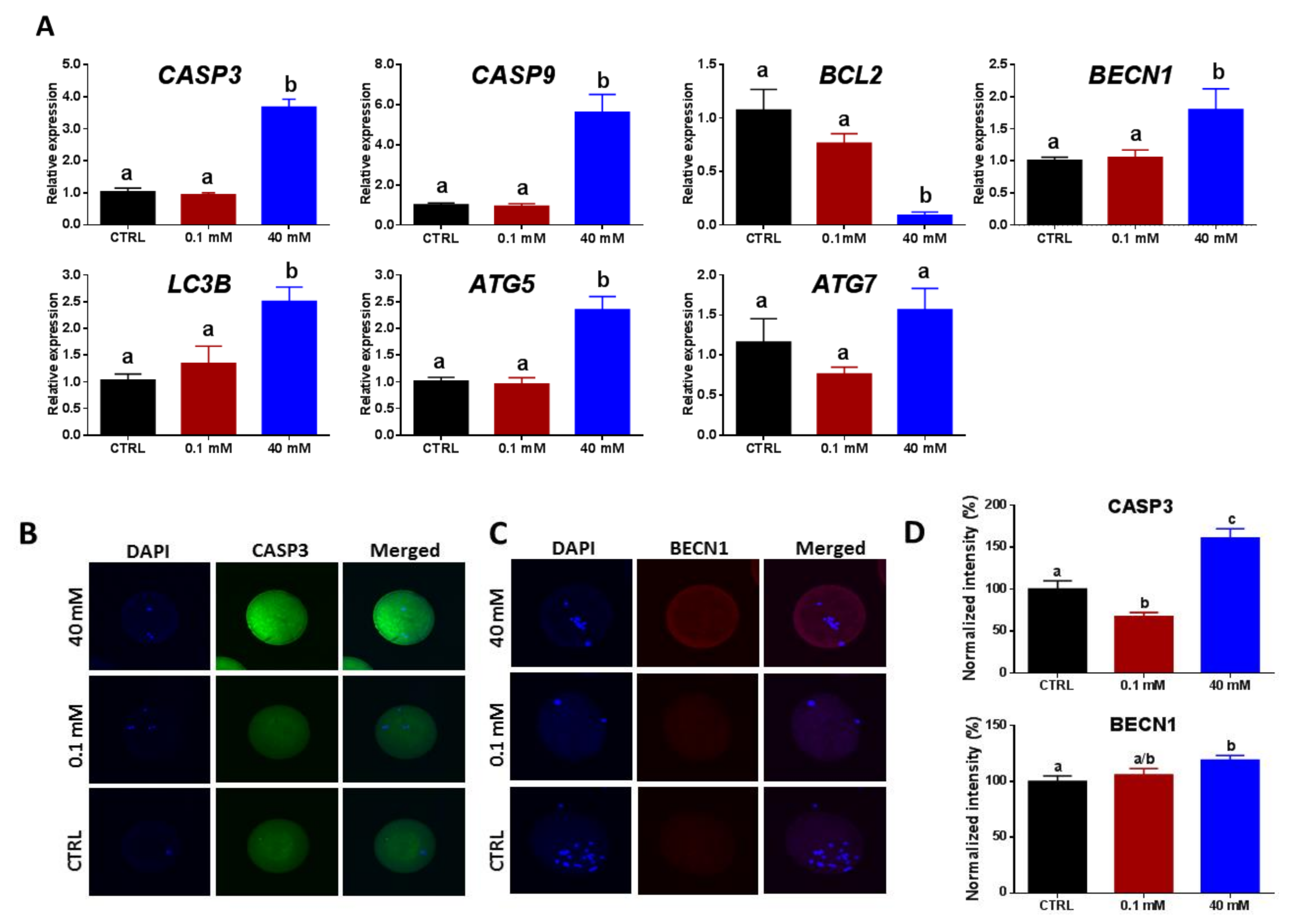 Cells 09 01550 g005 Cells 09 01550 g005