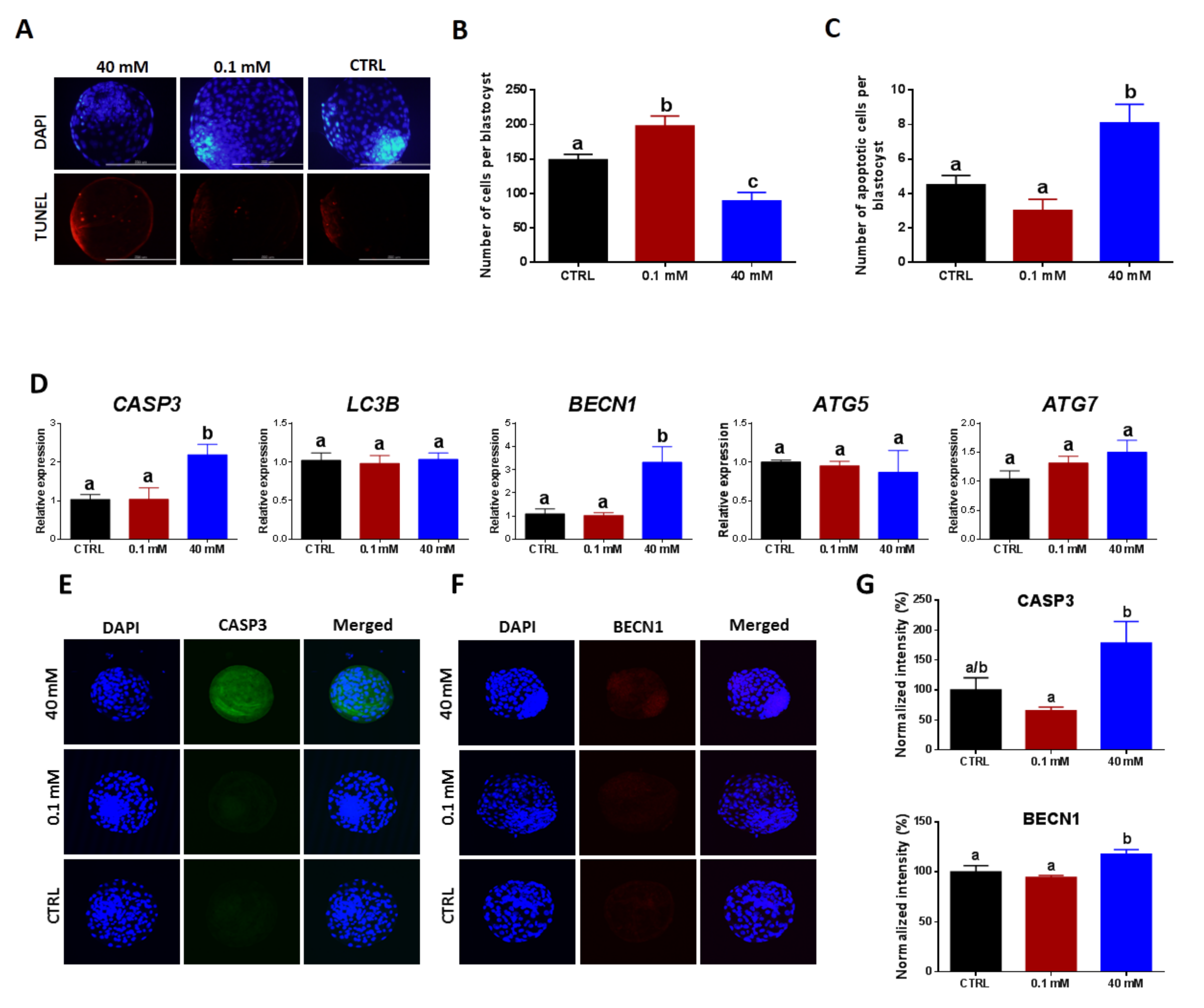 Cells 09 01550 g006 Cells 09 01550 g006