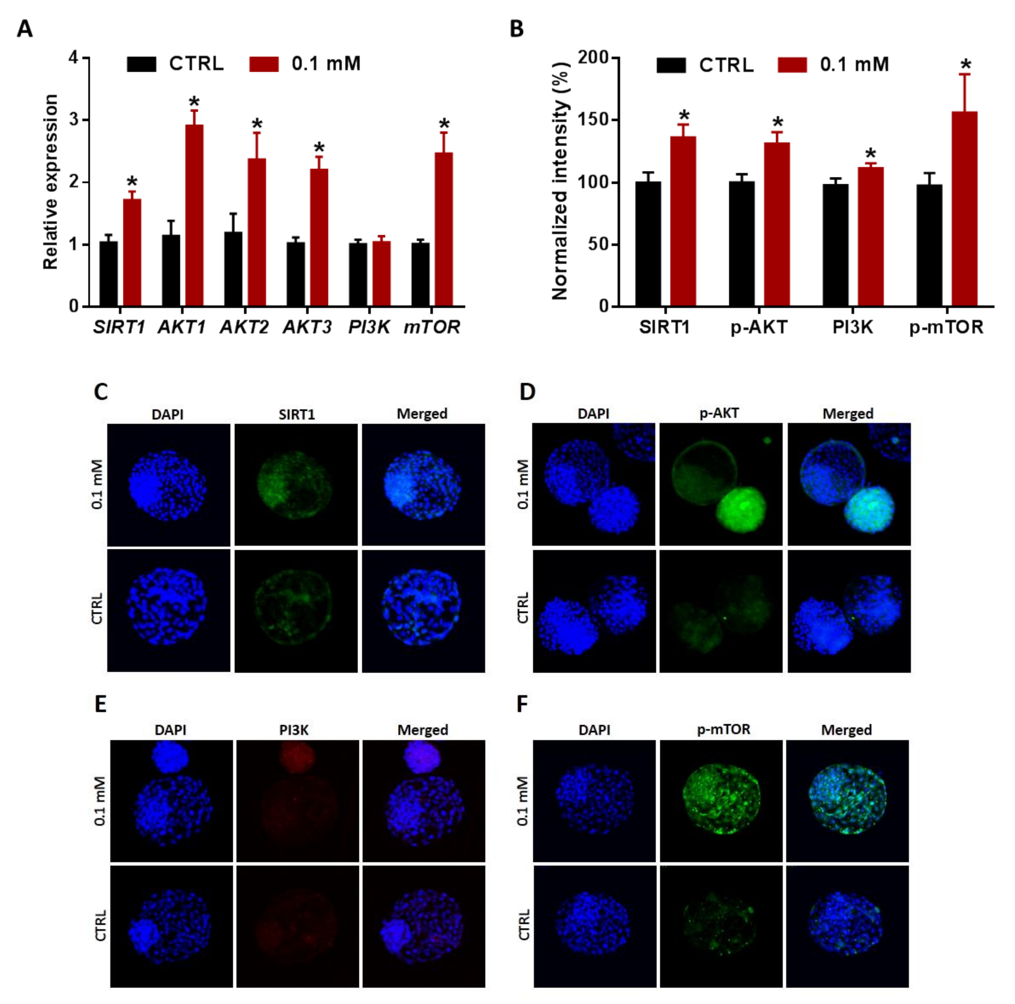 Cells 09 01550 g007 Cells 09 01550 g007