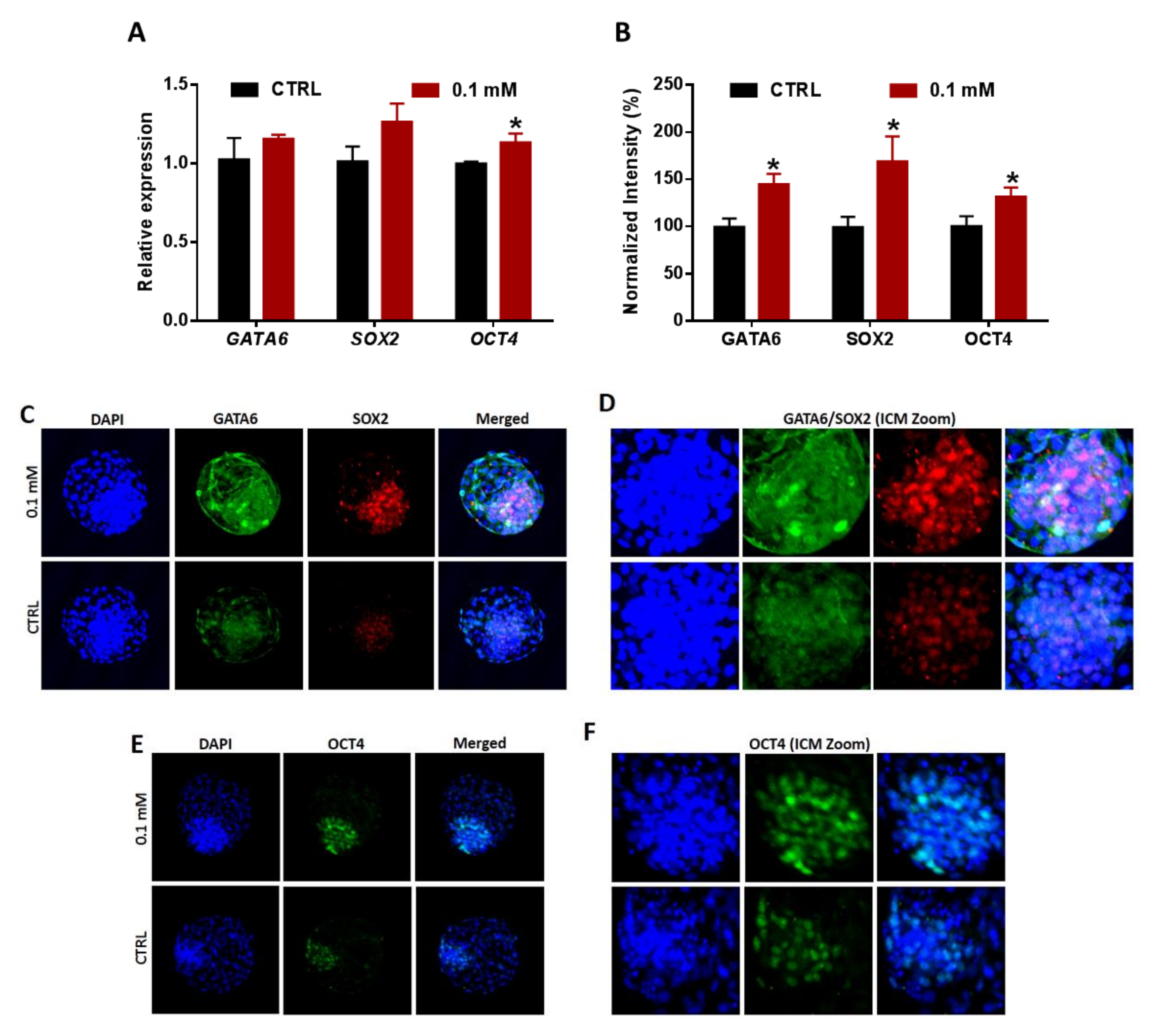 Cells 09 01550 g008 Cells 09 01550 g008