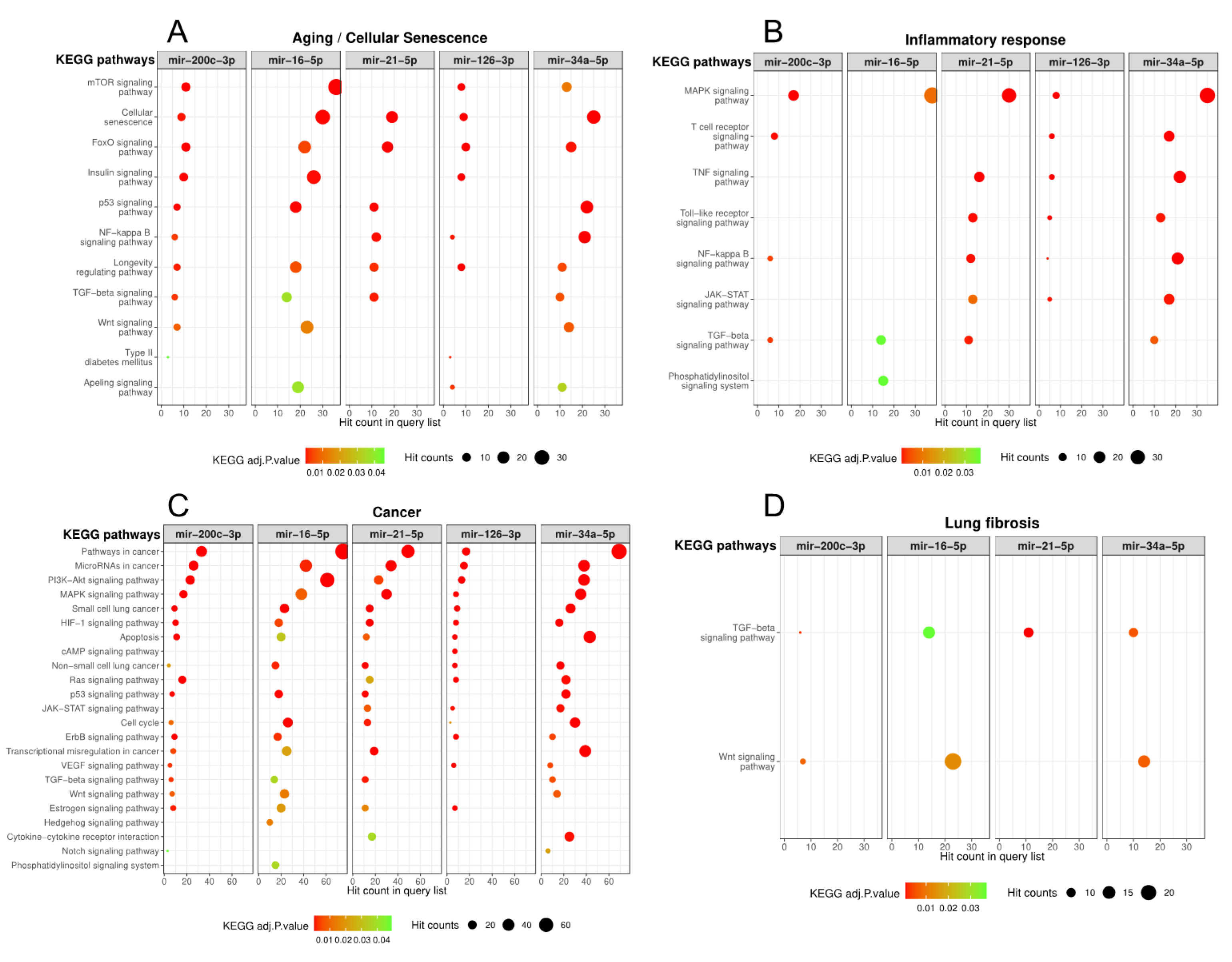 Cells 09 01556 g003 Cells 09 01556 g003