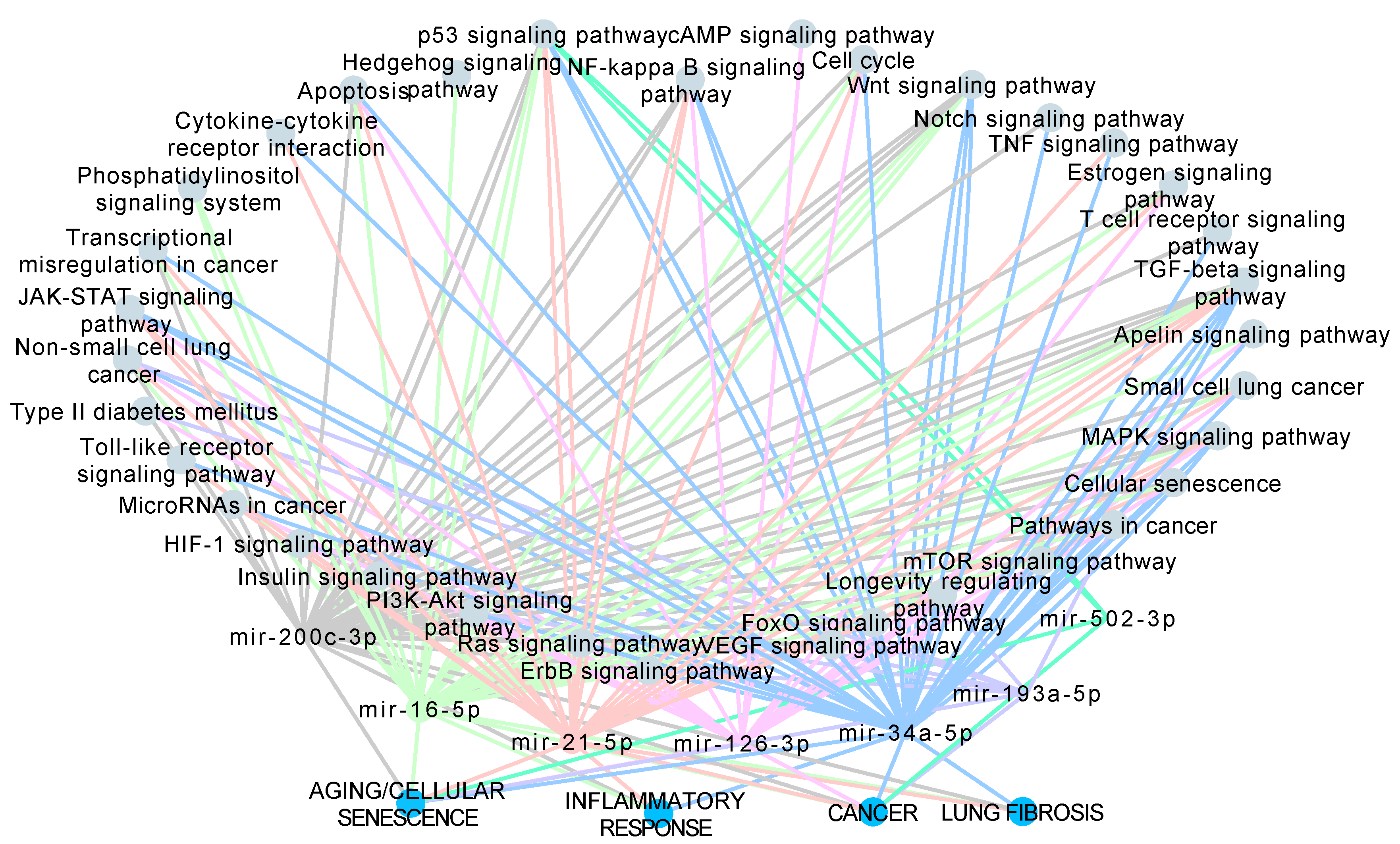 Cells 09 01556 g004 Cells 09 01556 g004