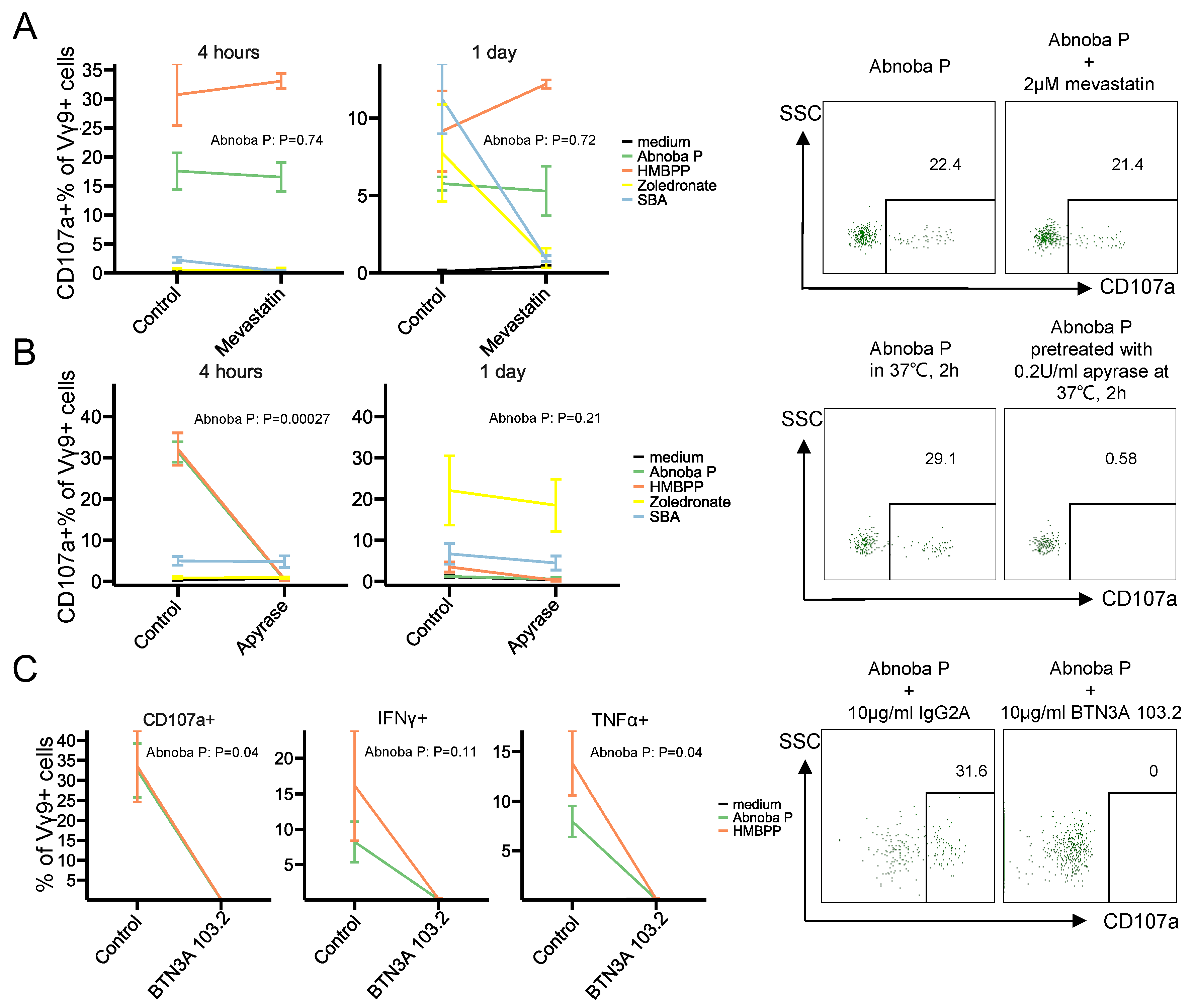 Cells 09 01560 g003 Cells 09 01560 g003