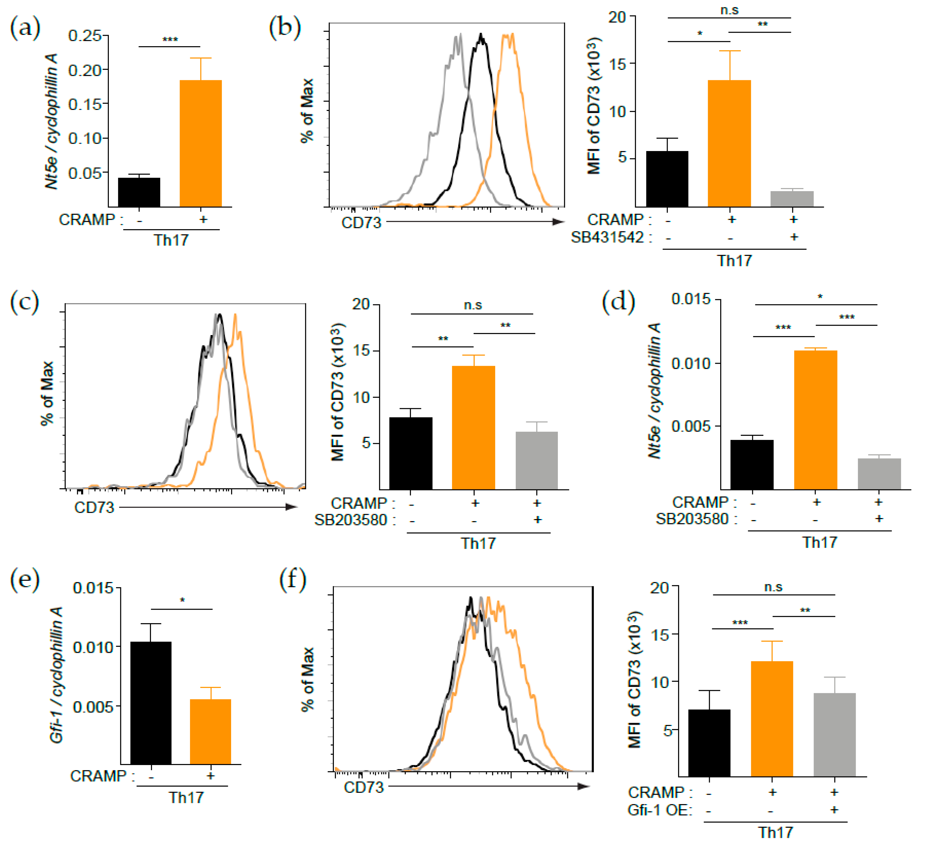 Cells 09 01561 g004 Cells 09 01561 g004