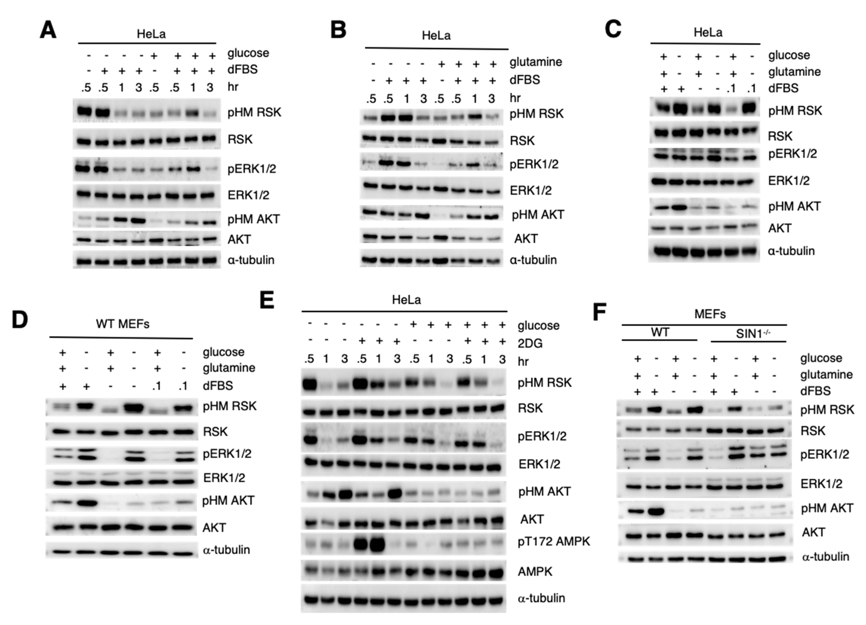 Cells 09 01567 g003 Cells 09 01567 g003