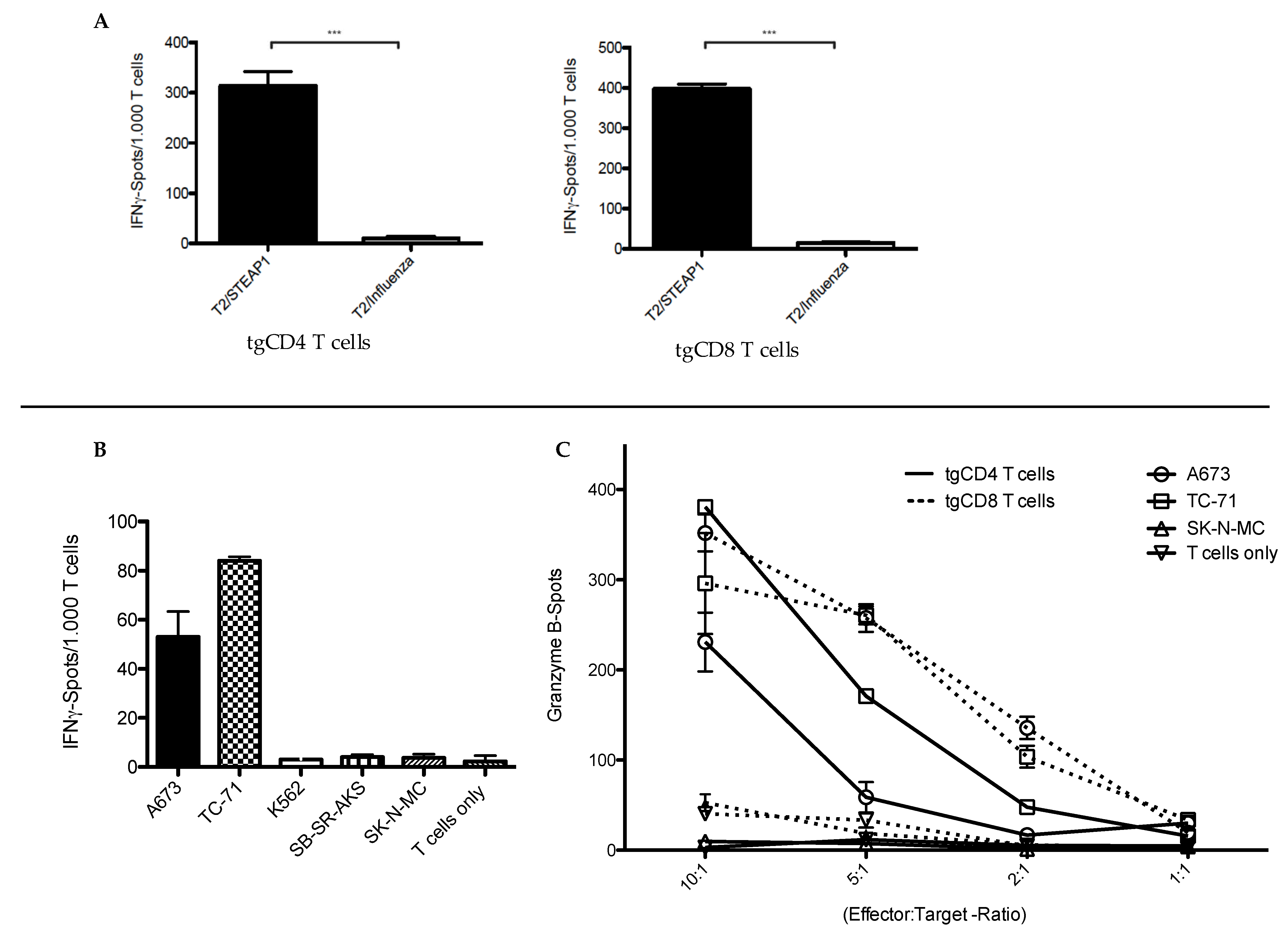 Cells 09 01581 g003 Cells 09 01581 g003