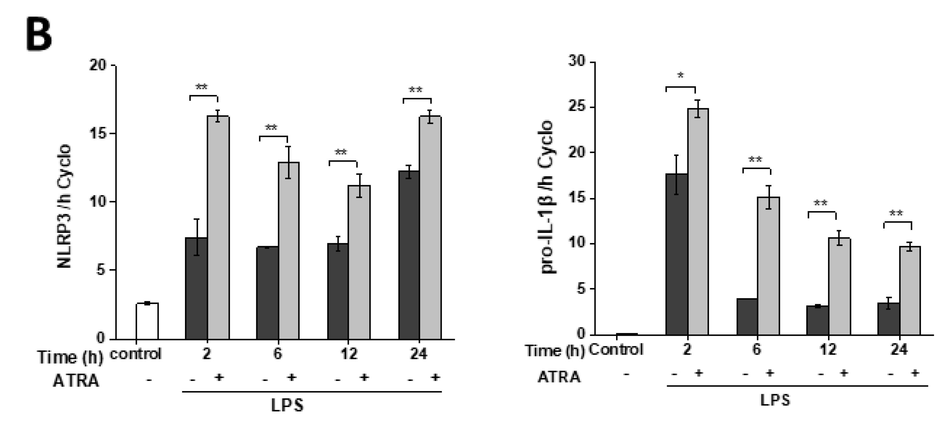 Cells 09 01591 g002b