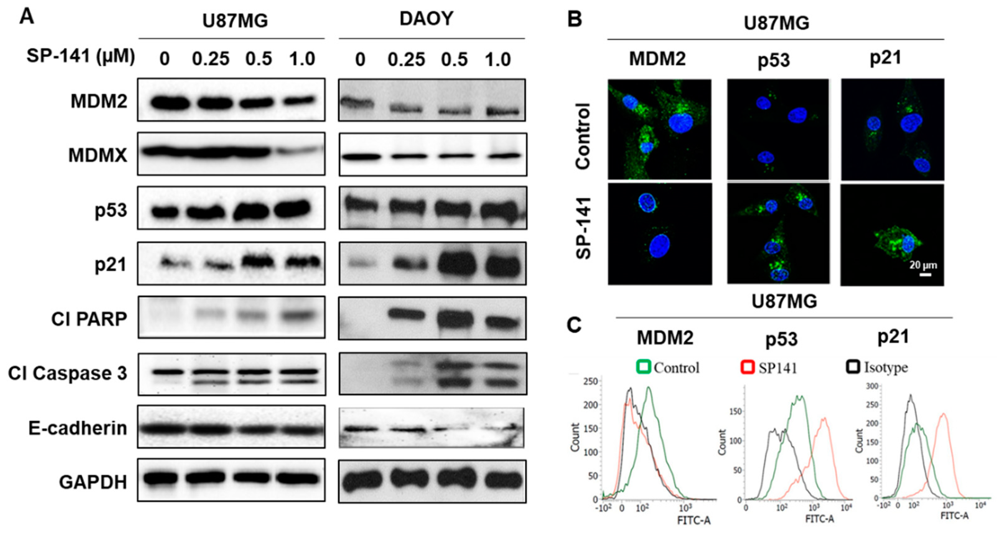 Cells 09 01592 g002 Cells 09 01592 g002