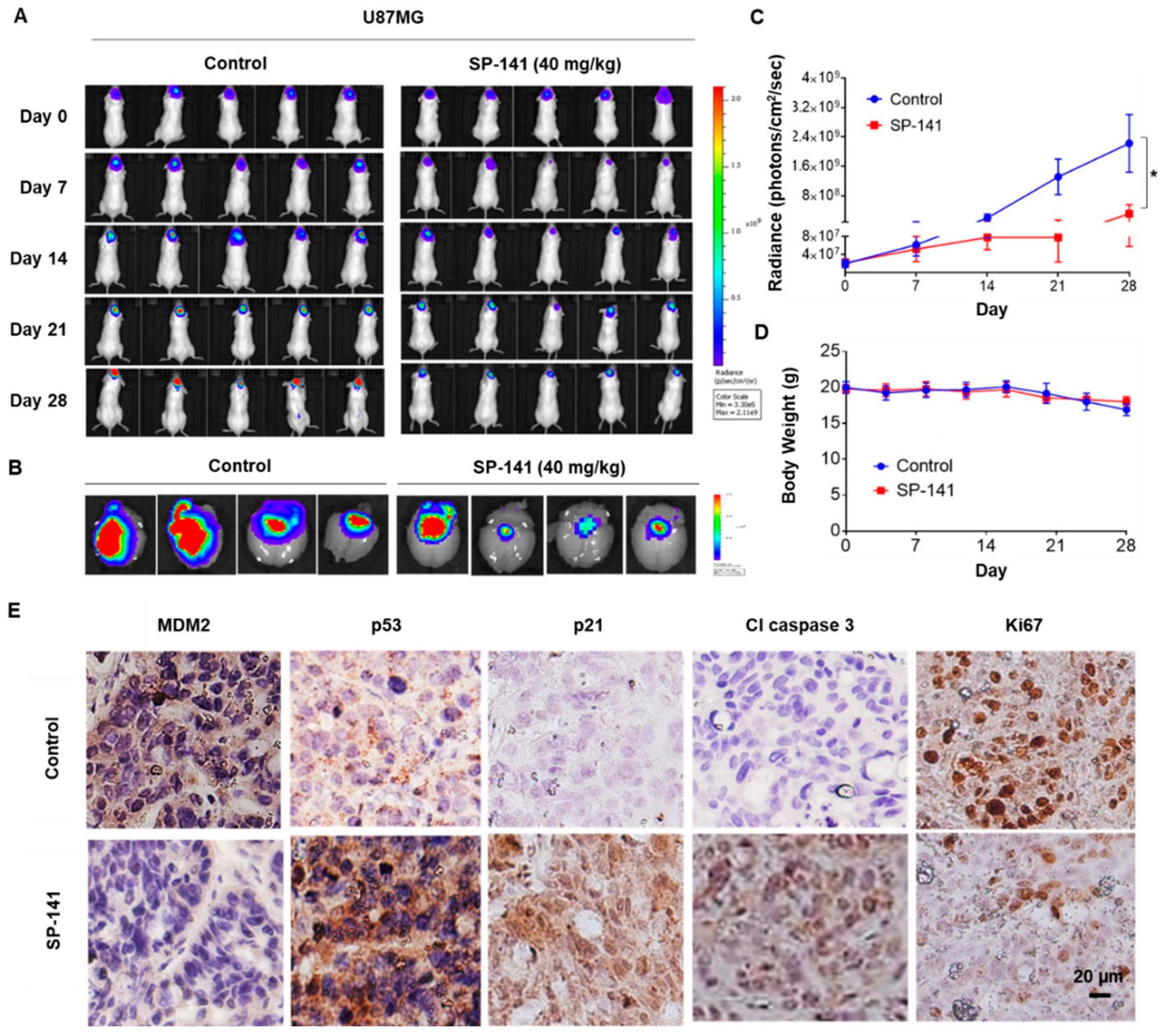 Cells 09 01592 g003 Cells 09 01592 g003