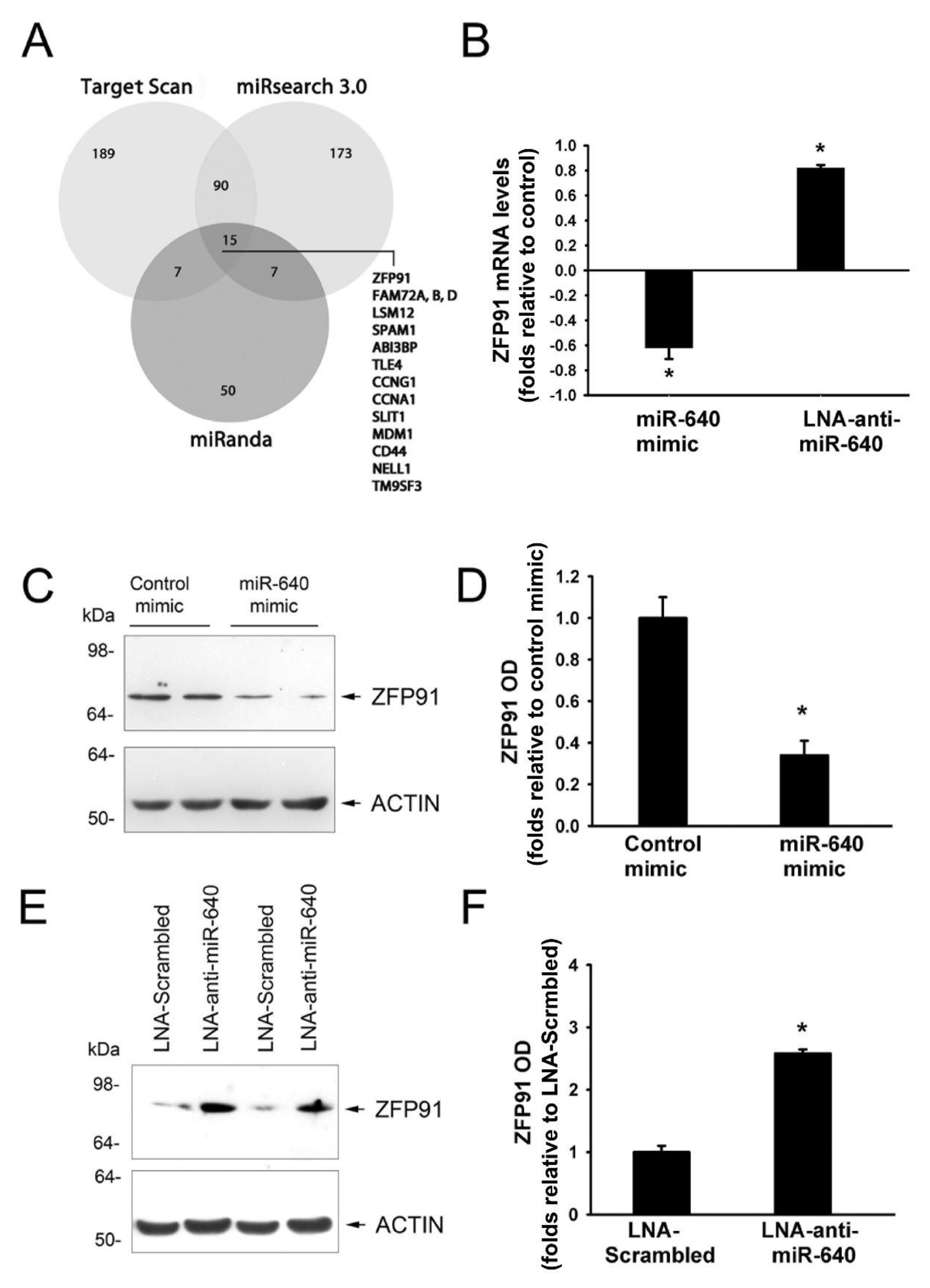 Cells 09 01602 g004 Cells 09 01602 g004
