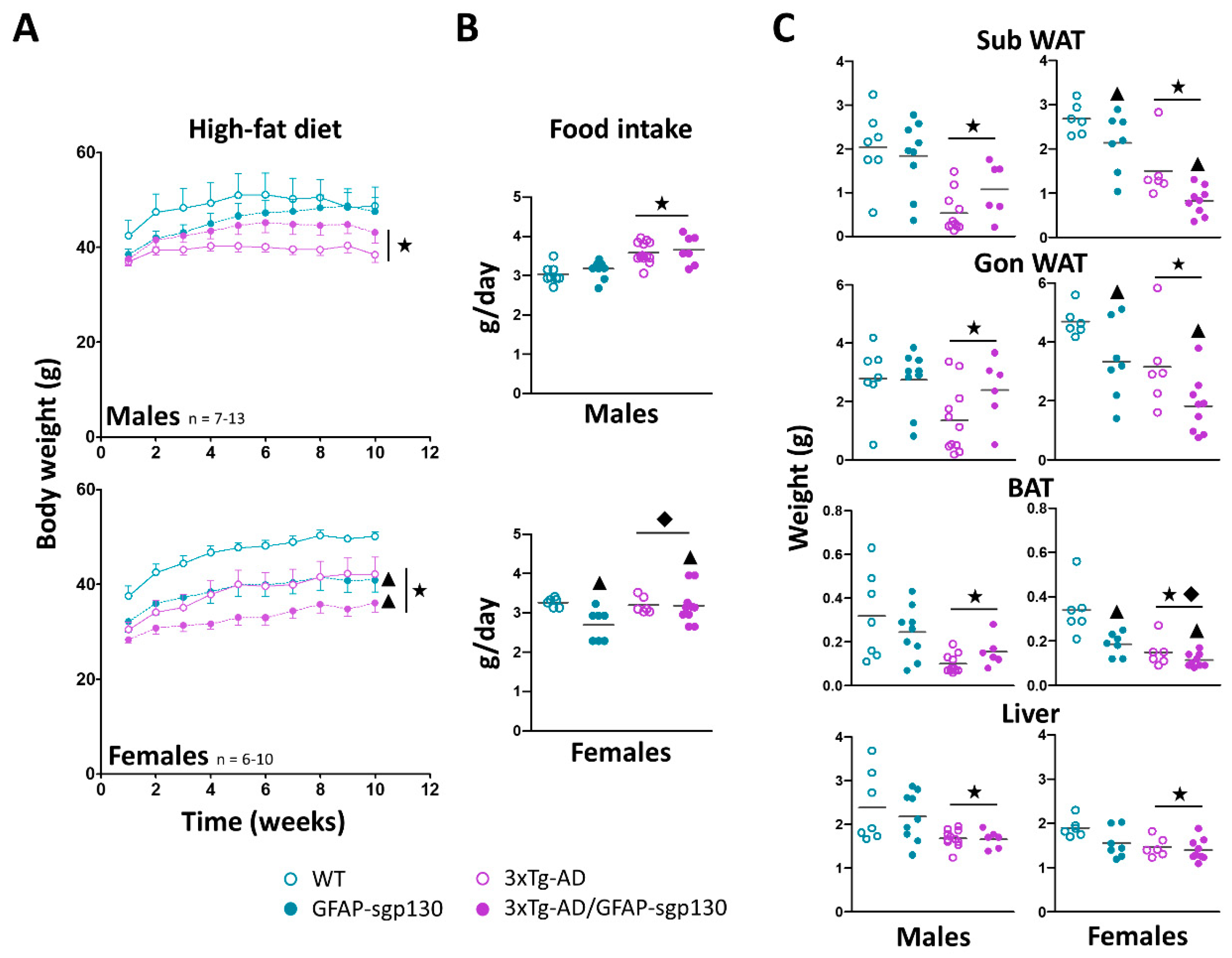 Cells 09 01605 g002 Cells 09 01605 g002