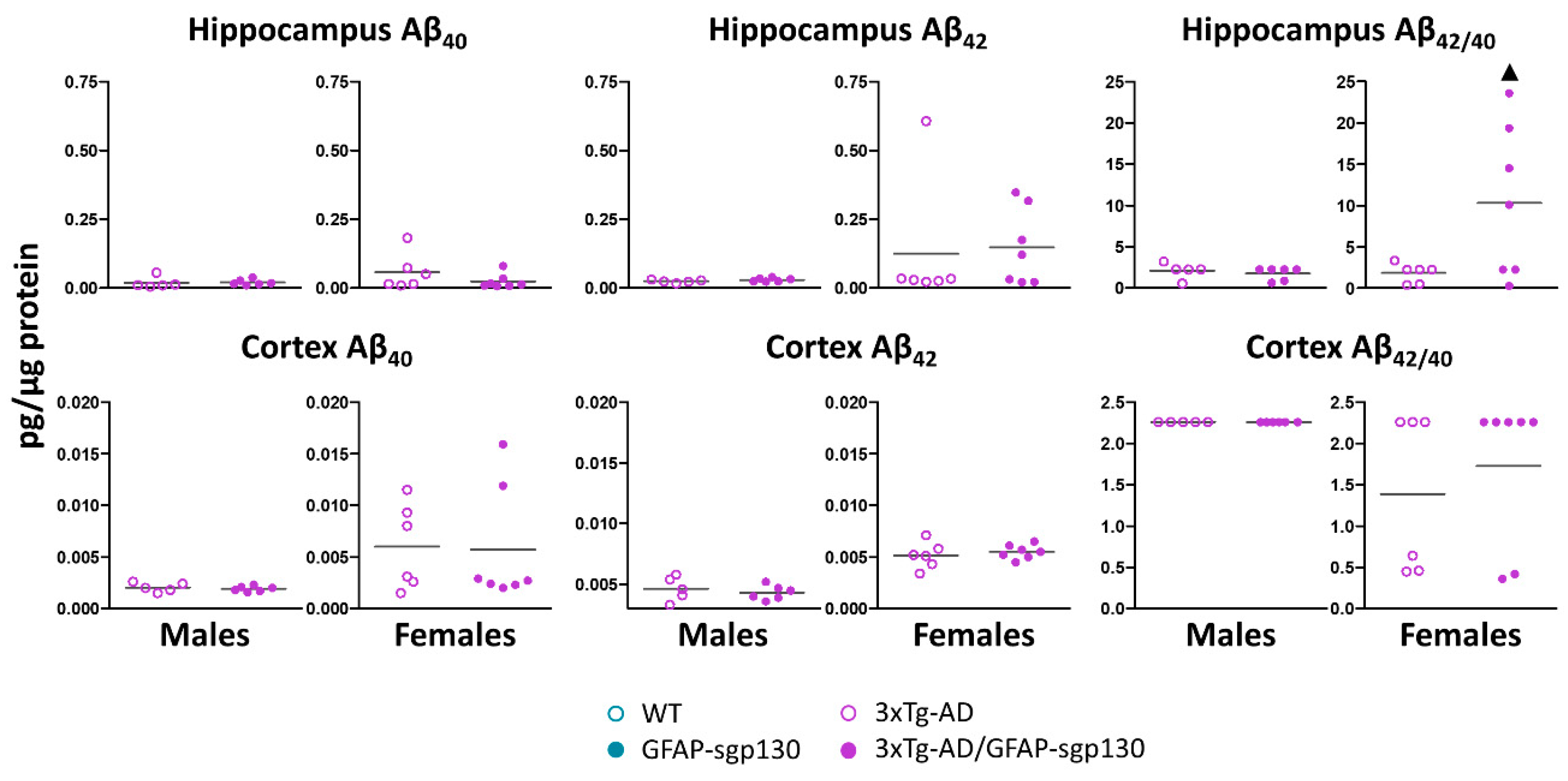 Cells 09 01605 g006 Cells 09 01605 g006