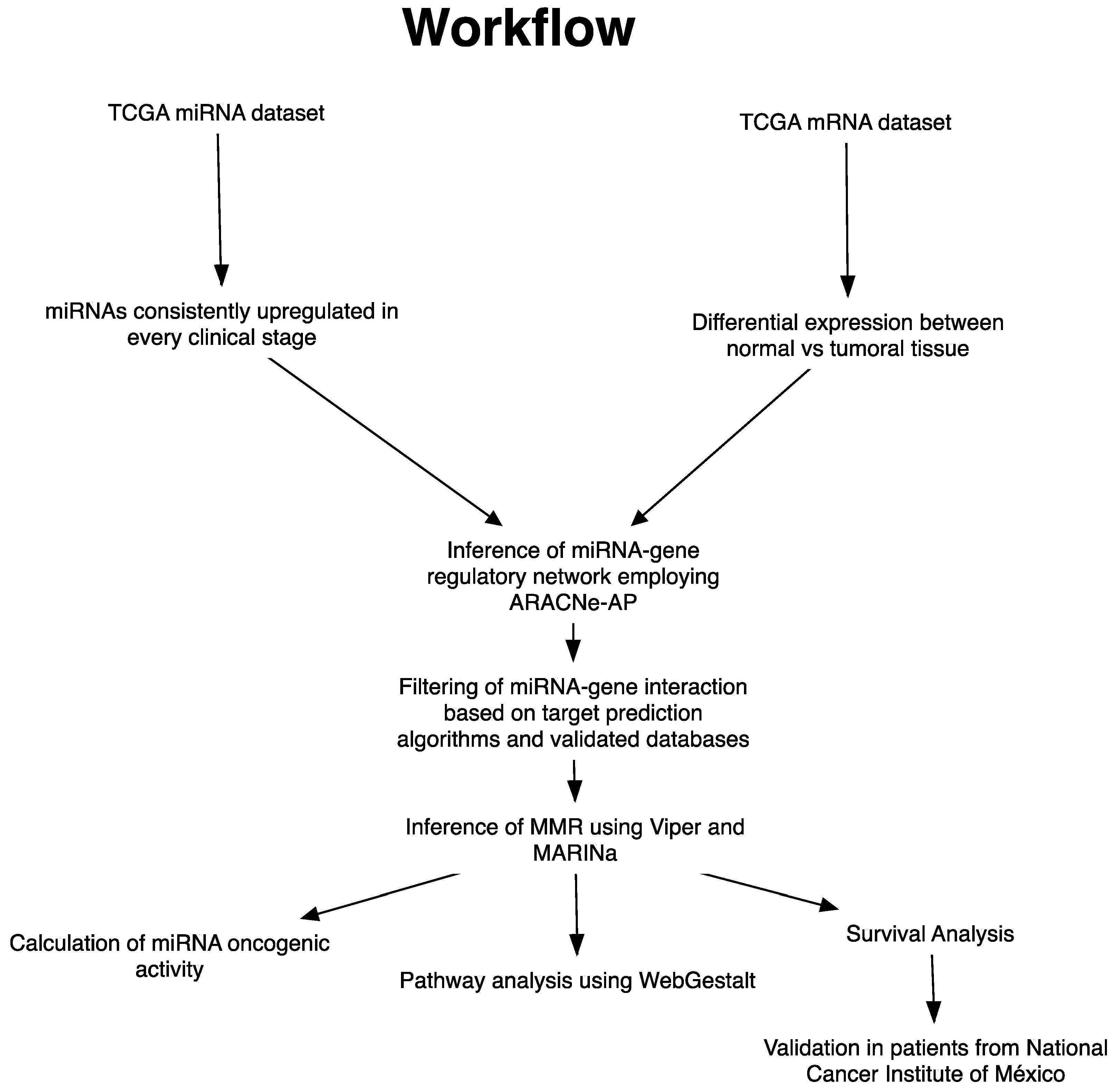 Cells 09 01610 g001 Cells 09 01610 g001