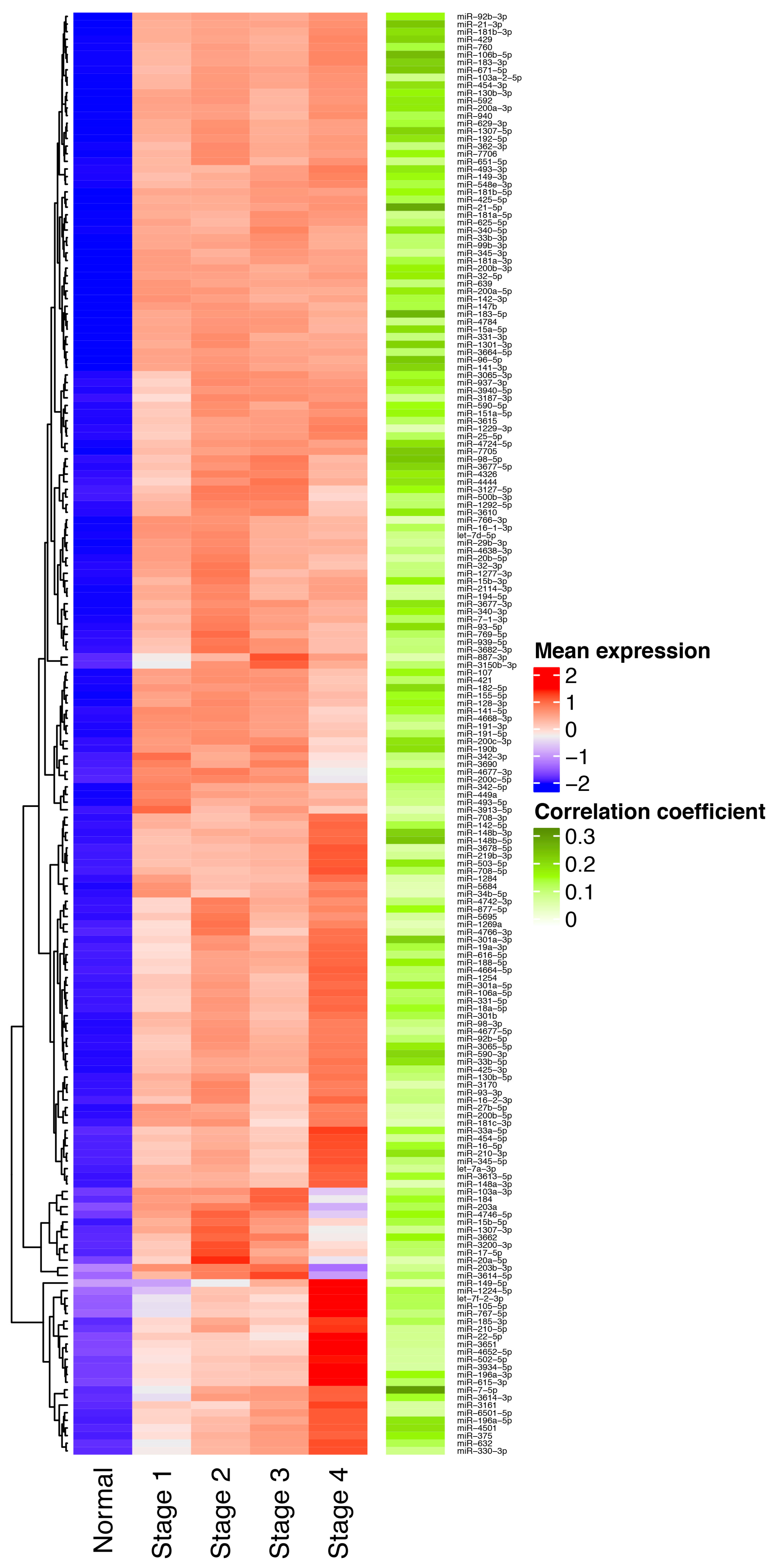 Cells 09 01610 g002 Cells 09 01610 g002